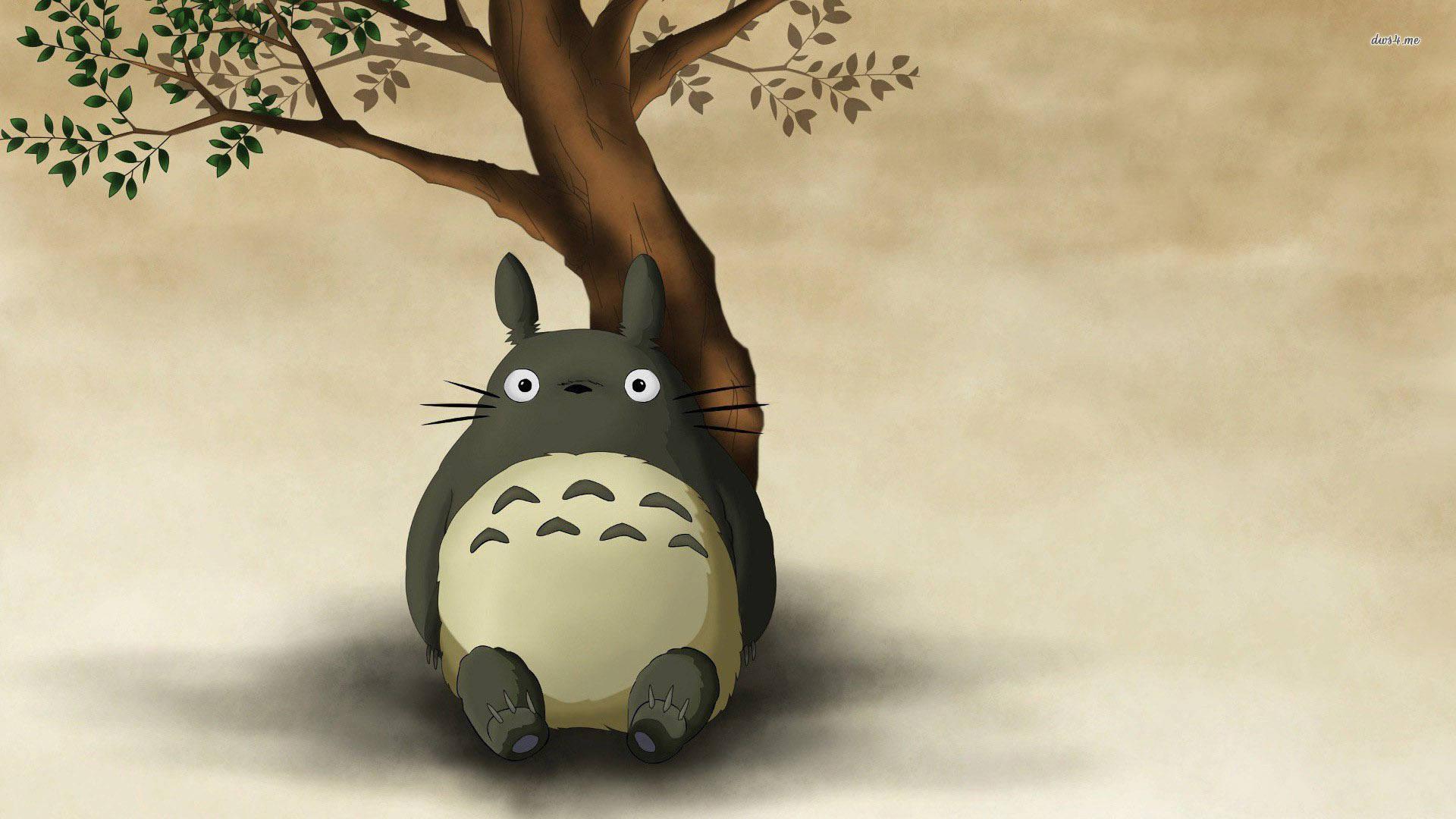 Totoro Soaking in Nature's Beauty — 1920x1080 wallpaper