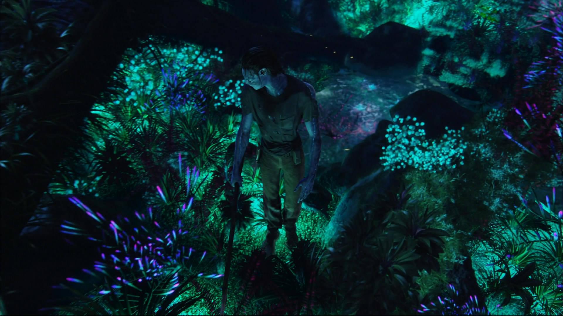 Travel to the magical world of Pandora with Avatar. — 1920x1080 wallpaper
