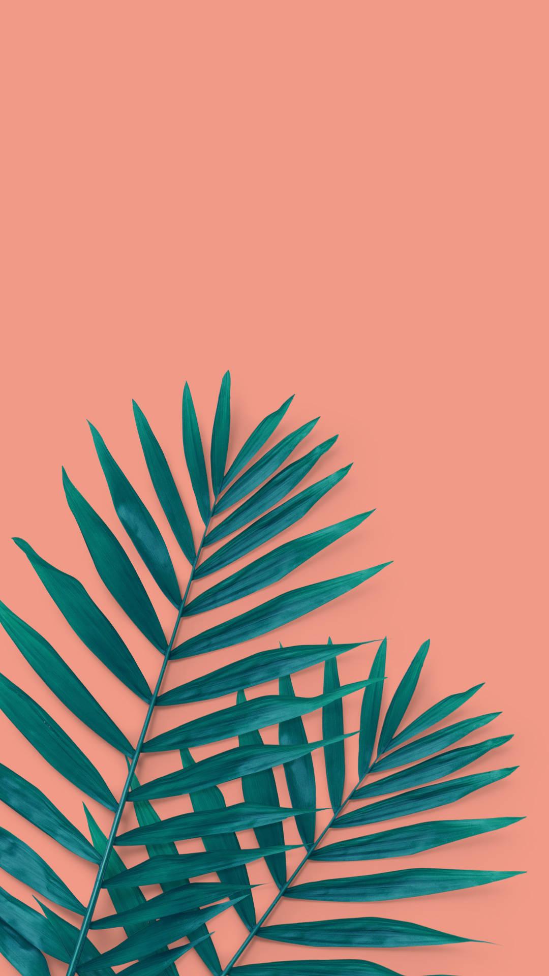 Tropical Palm Leaves Summer iPhone — 1080x1920 wallpaper