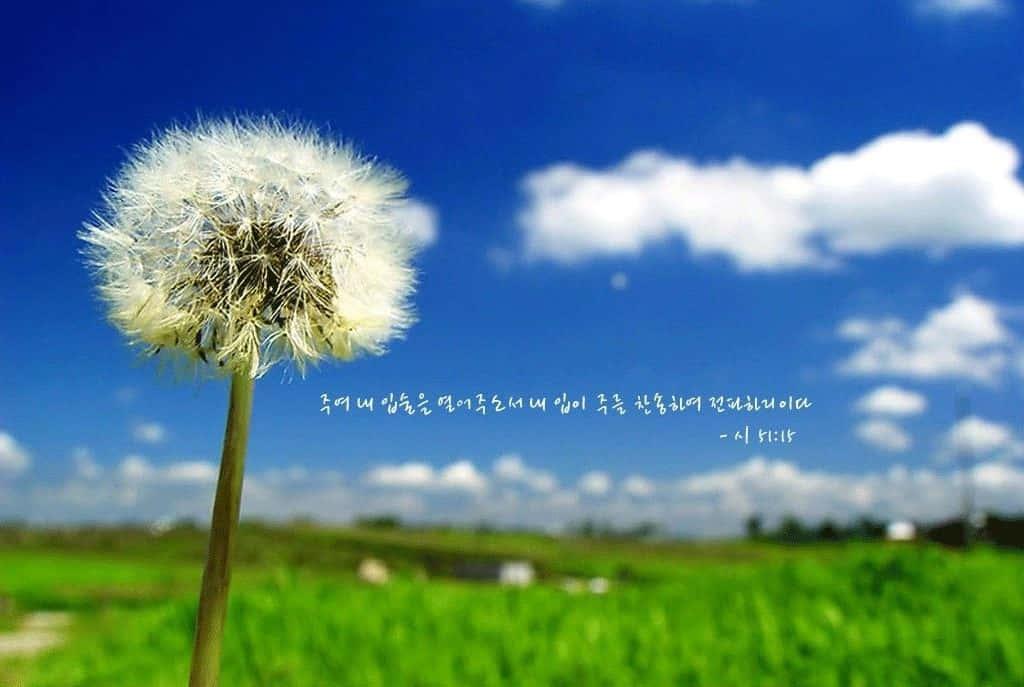 Trust in the Lord with all your heart and lean not on your own understanding' — 1024x687 wallpaper
