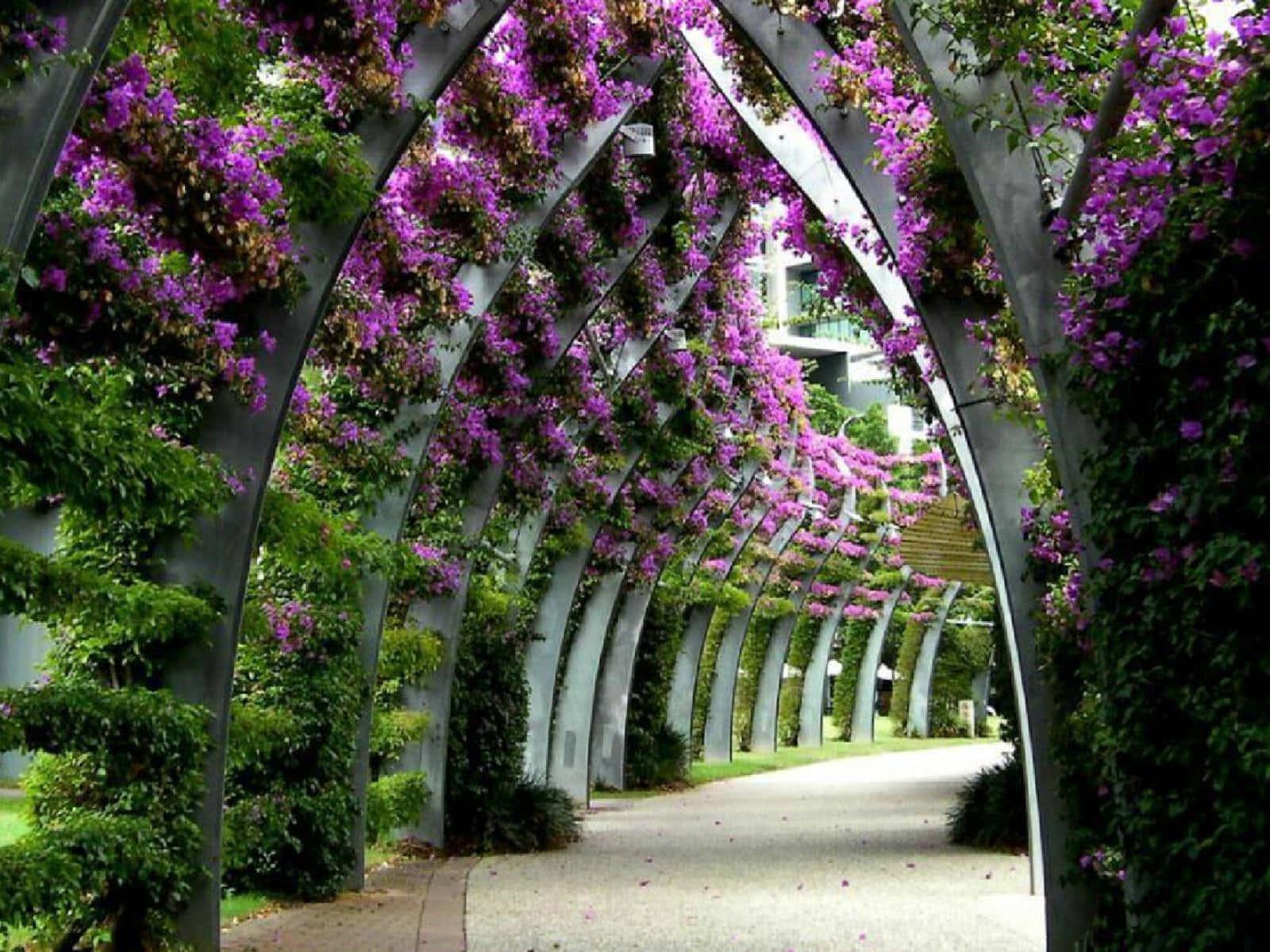 Tunnel Of Nature Flower — 1600x1200 wallpaper