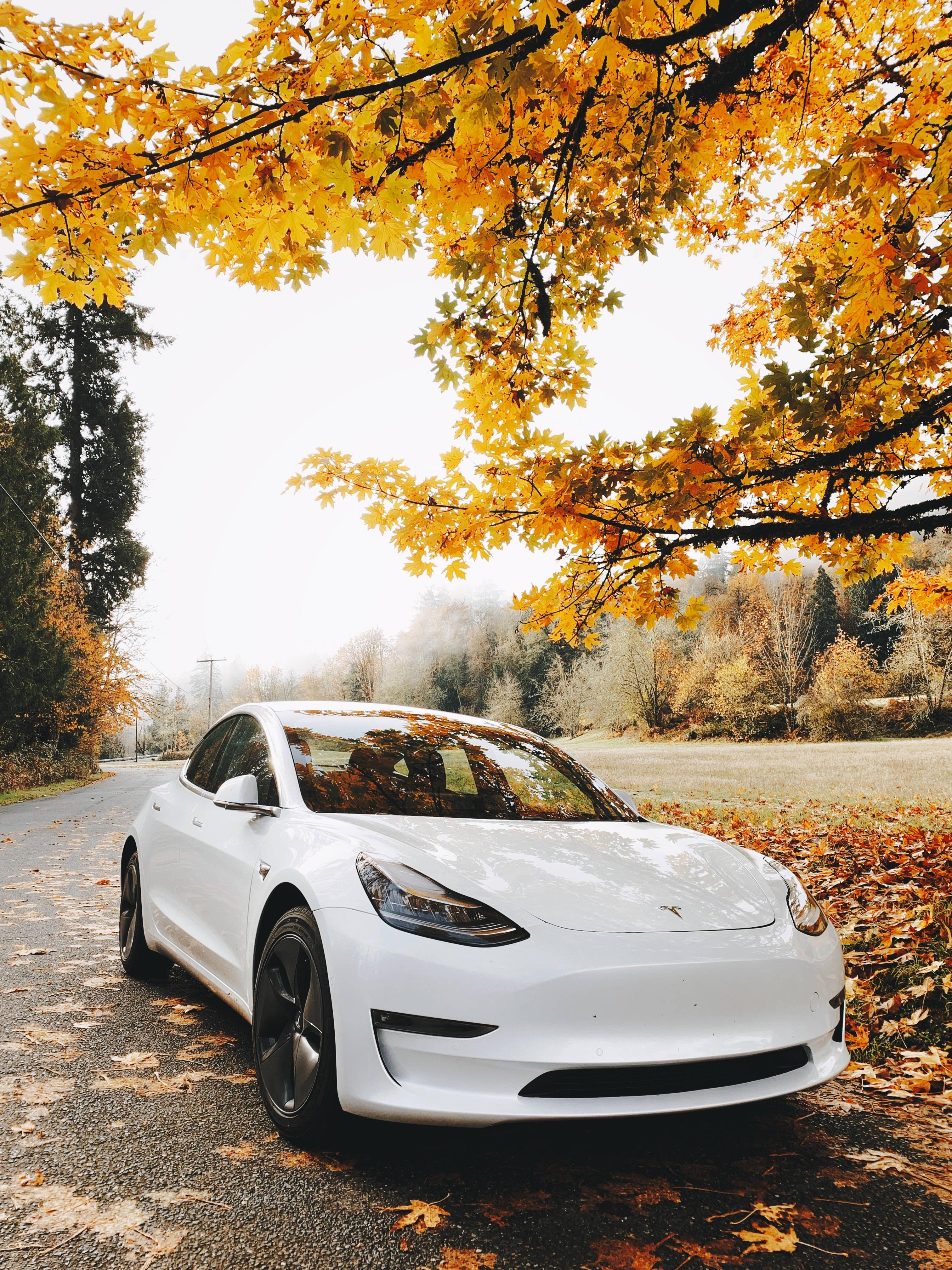 Turn Heads with the White Tesla Car this Autumn — 3024x4032 wallpaper