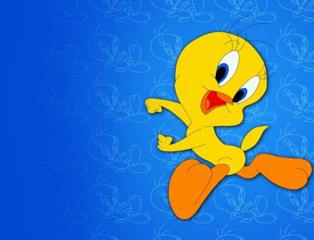 Tweety Bird 4K Cartoon — 1064x812 wallpaper
