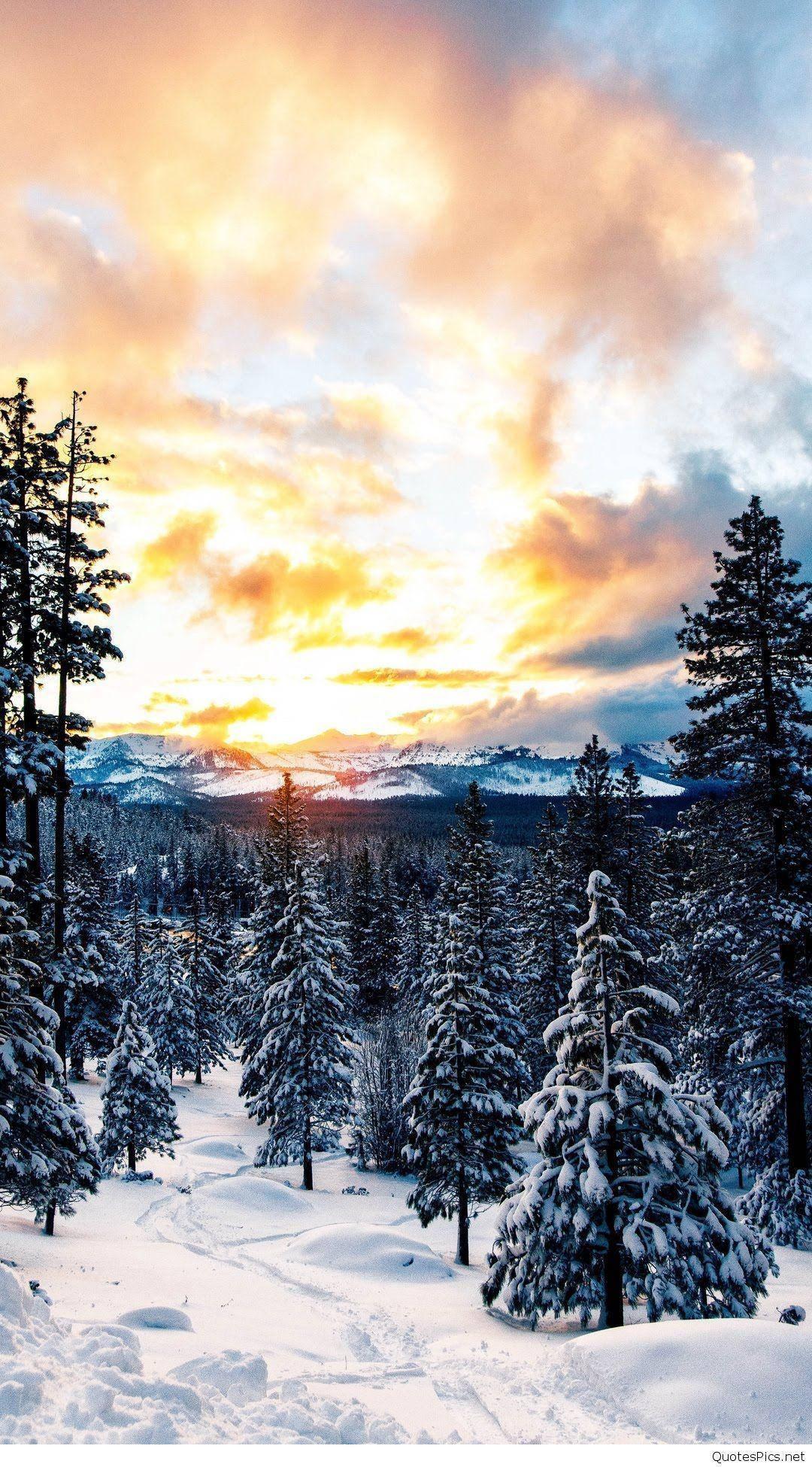 Twilight On The Snowy Field Beautiful Phone — 1080x1950 wallpaper