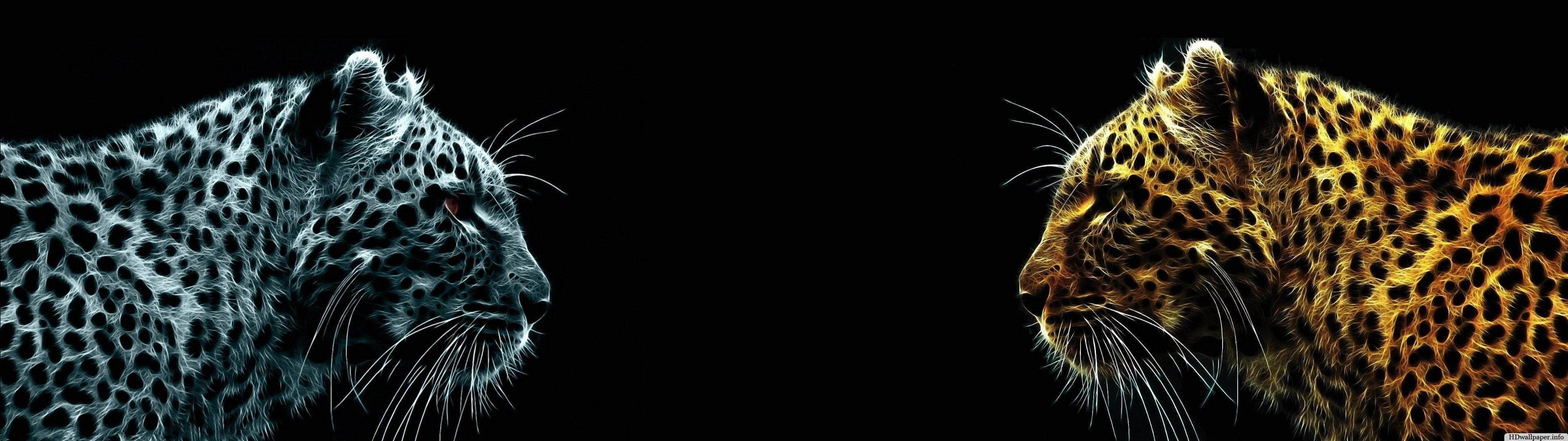 Two leopards in the wild — 3840x1080 wallpaper