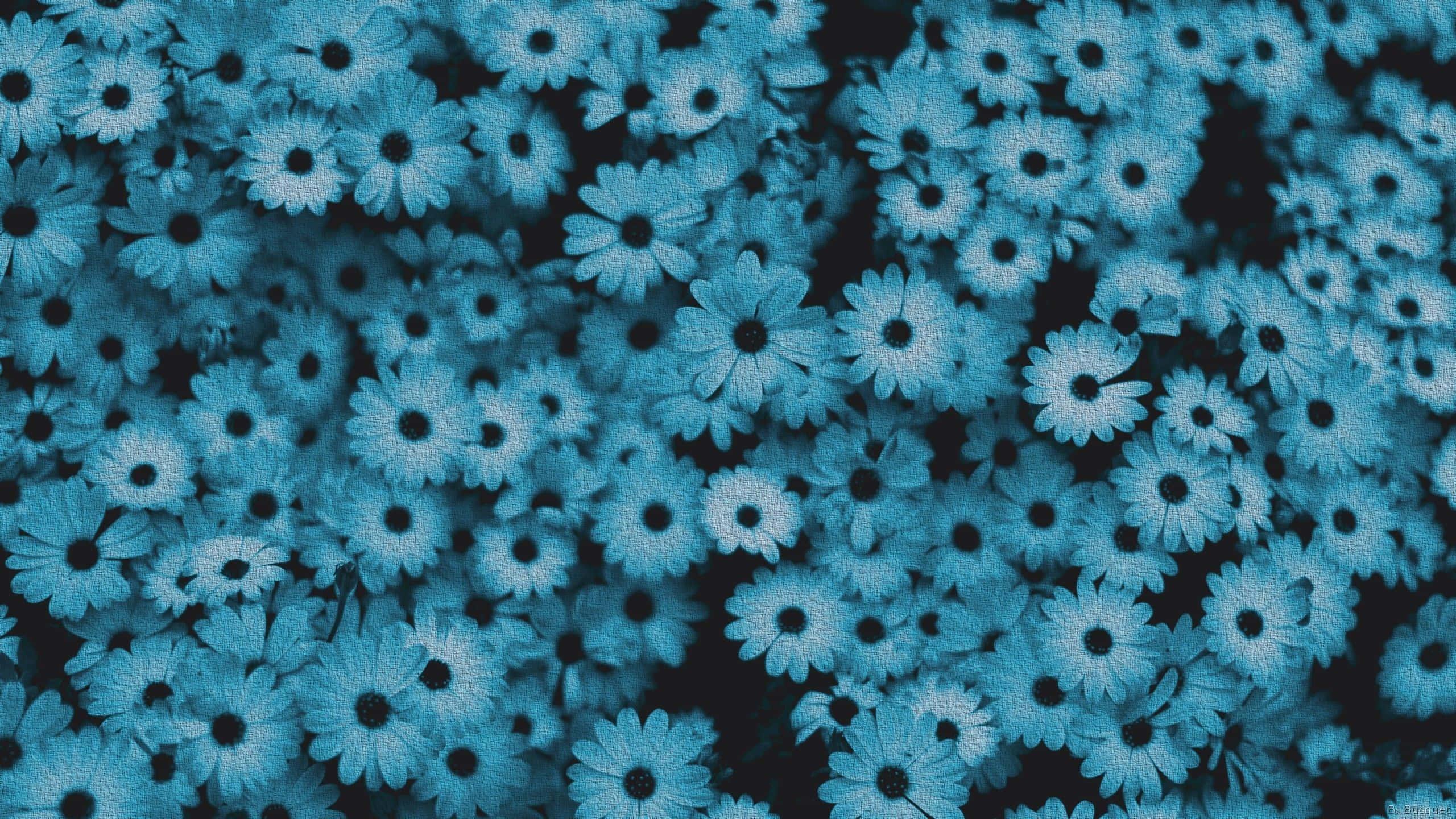 unlock your true potential — 2560x1440 wallpaper