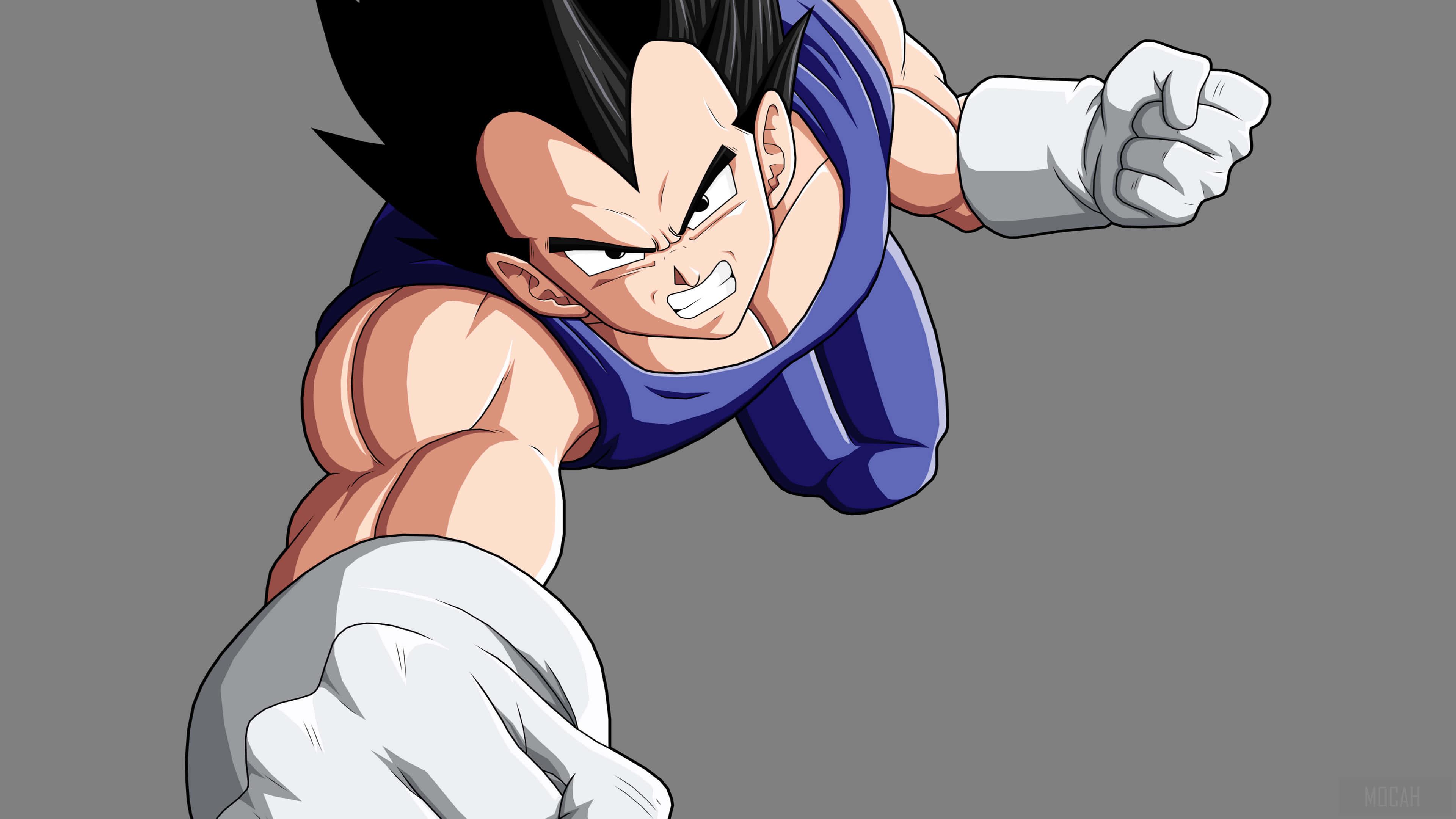 Vegeta Fighting Pose Picture — 3840x2160 wallpaper