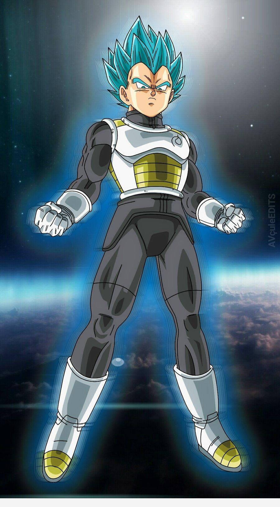 Vegeta in his new black armor — 900x1626 wallpaper