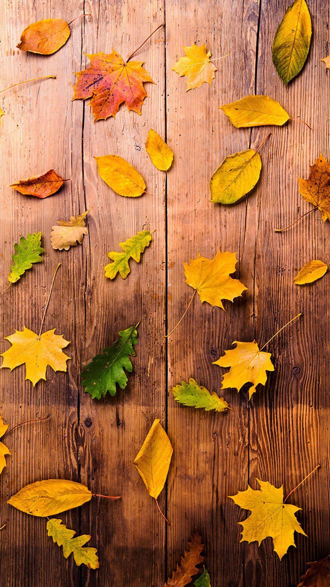 Vibrant Green Maple Leaves Fall IPhone — 1080x1920 wallpaper