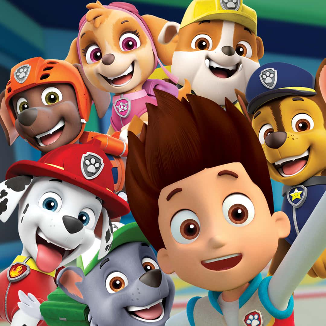 Vibrant PAW Patrol Characters in Action — 1080x1080 wallpaper