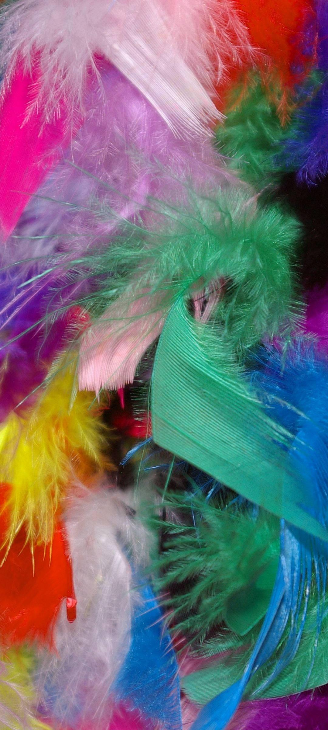 Vivo V20 Colorful Feathers — 1080x2400 wallpaper
