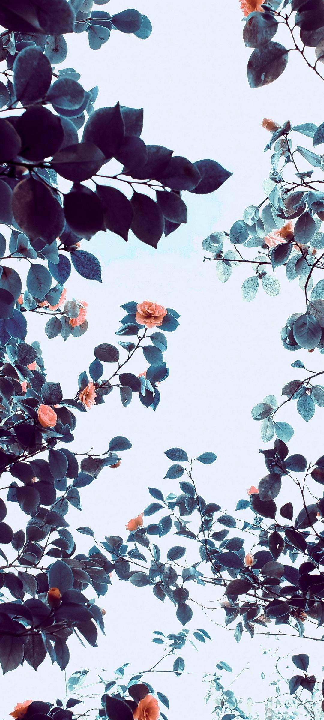 Vivo V20 Orange Flower Tree — 1080x2400 wallpaper