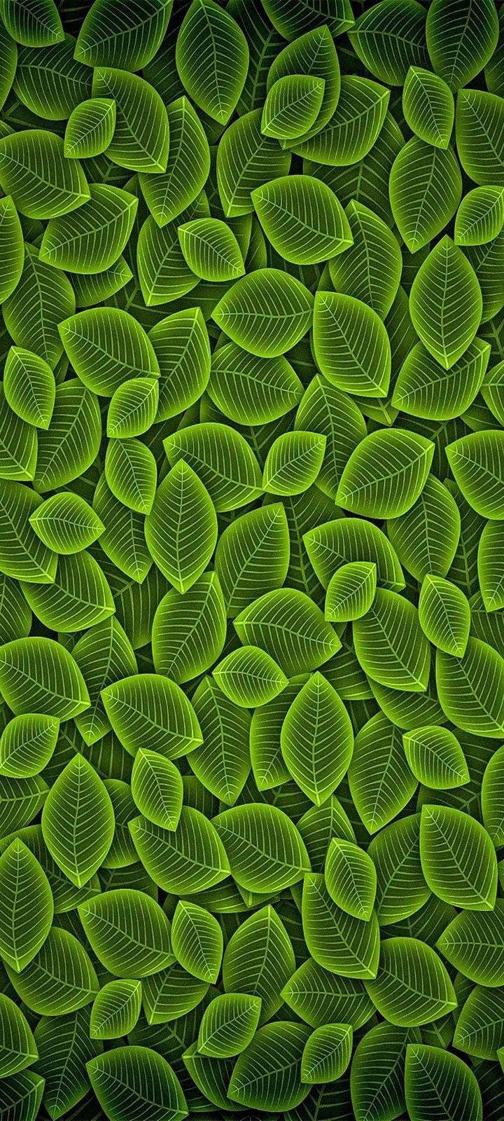 Vivo Y20 Green Leaf Pattern — 720x1600 wallpaper