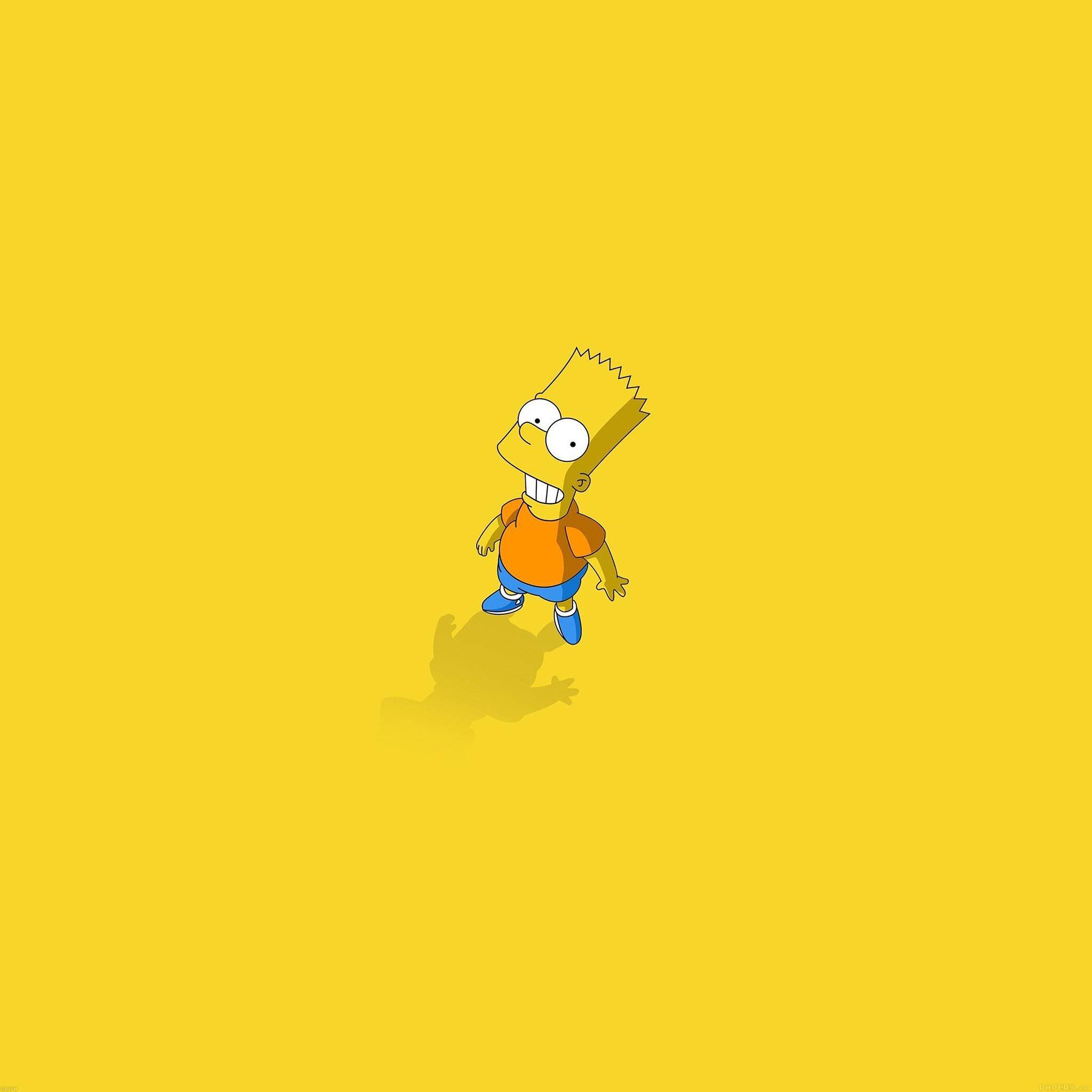 Wacky and Wild with Bart Simpson — 2048x2048 wallpaper