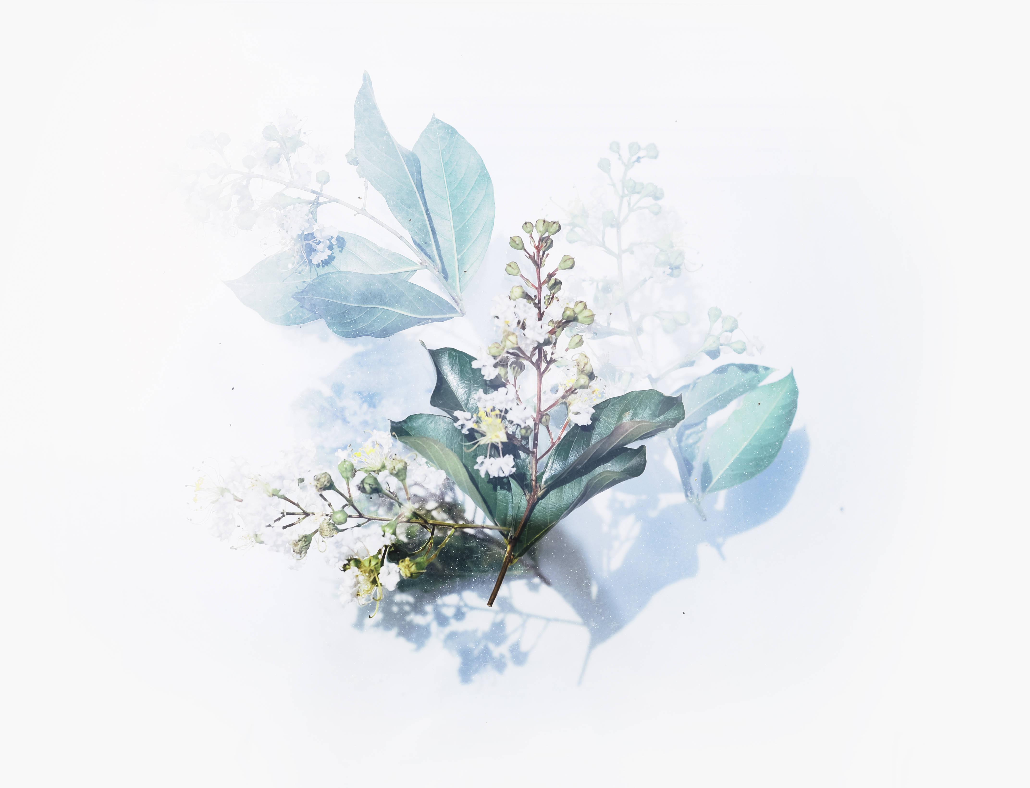 Watercolor Flower Art — 4287x3283 wallpaper
