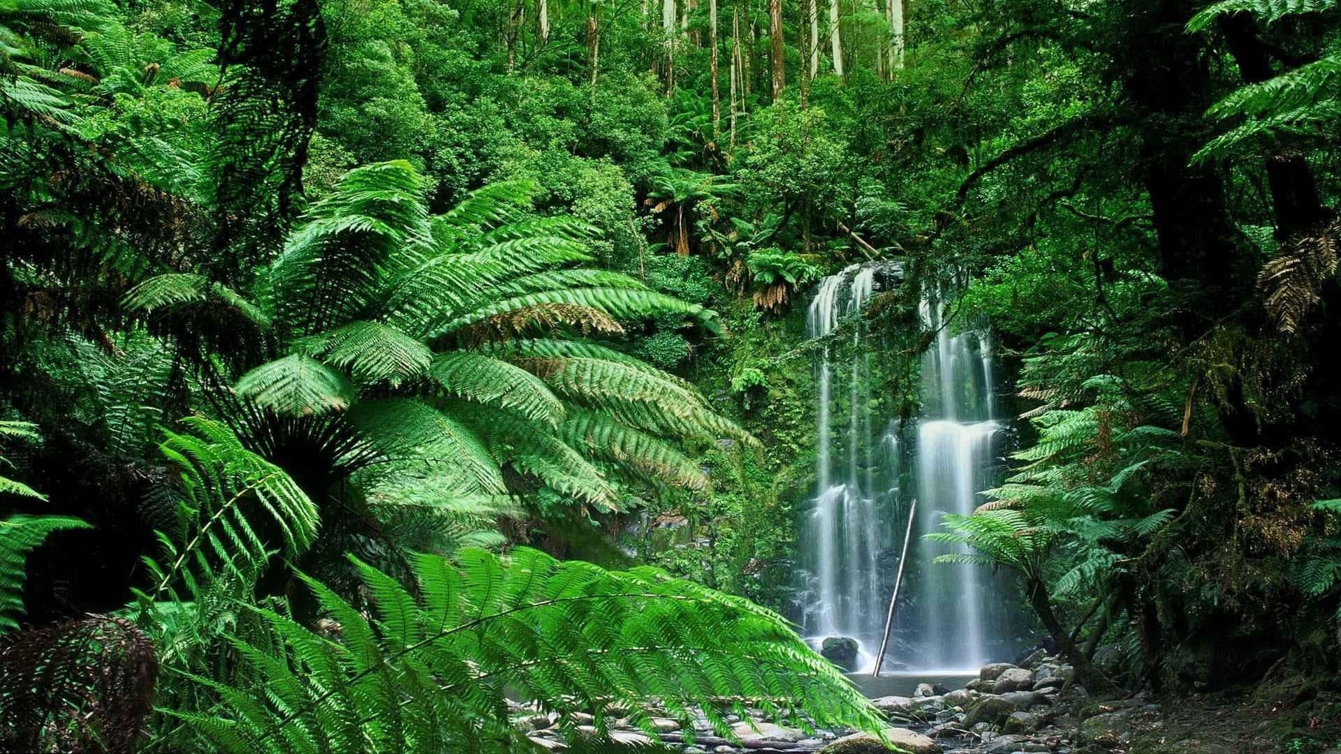 Waterfalls Nature Picture — 1920x1080 wallpaper