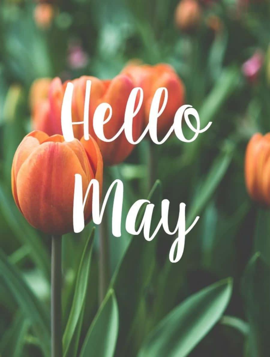 Welcome May! — 900x1191 wallpaper
