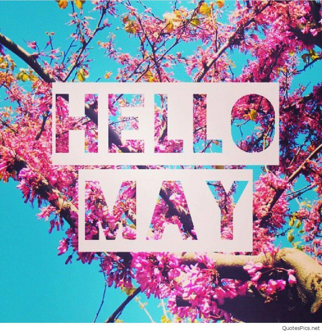 Welcome May with the beauty of cherry blossoms! — 1062x1092 wallpaper
