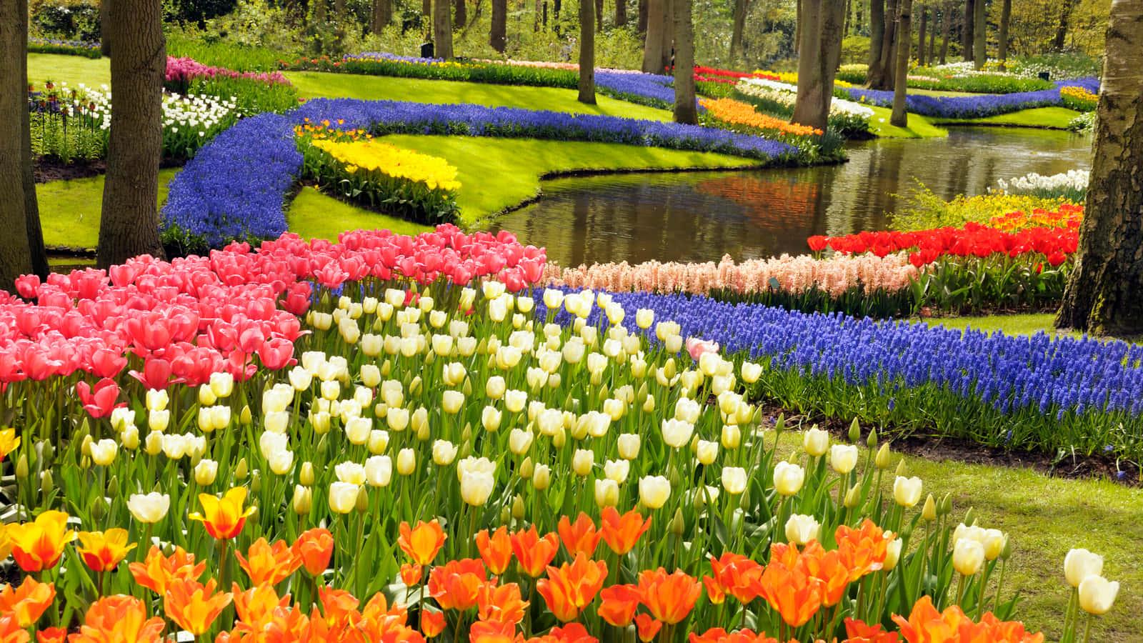 Welcome Spring! — 1600x900 wallpaper