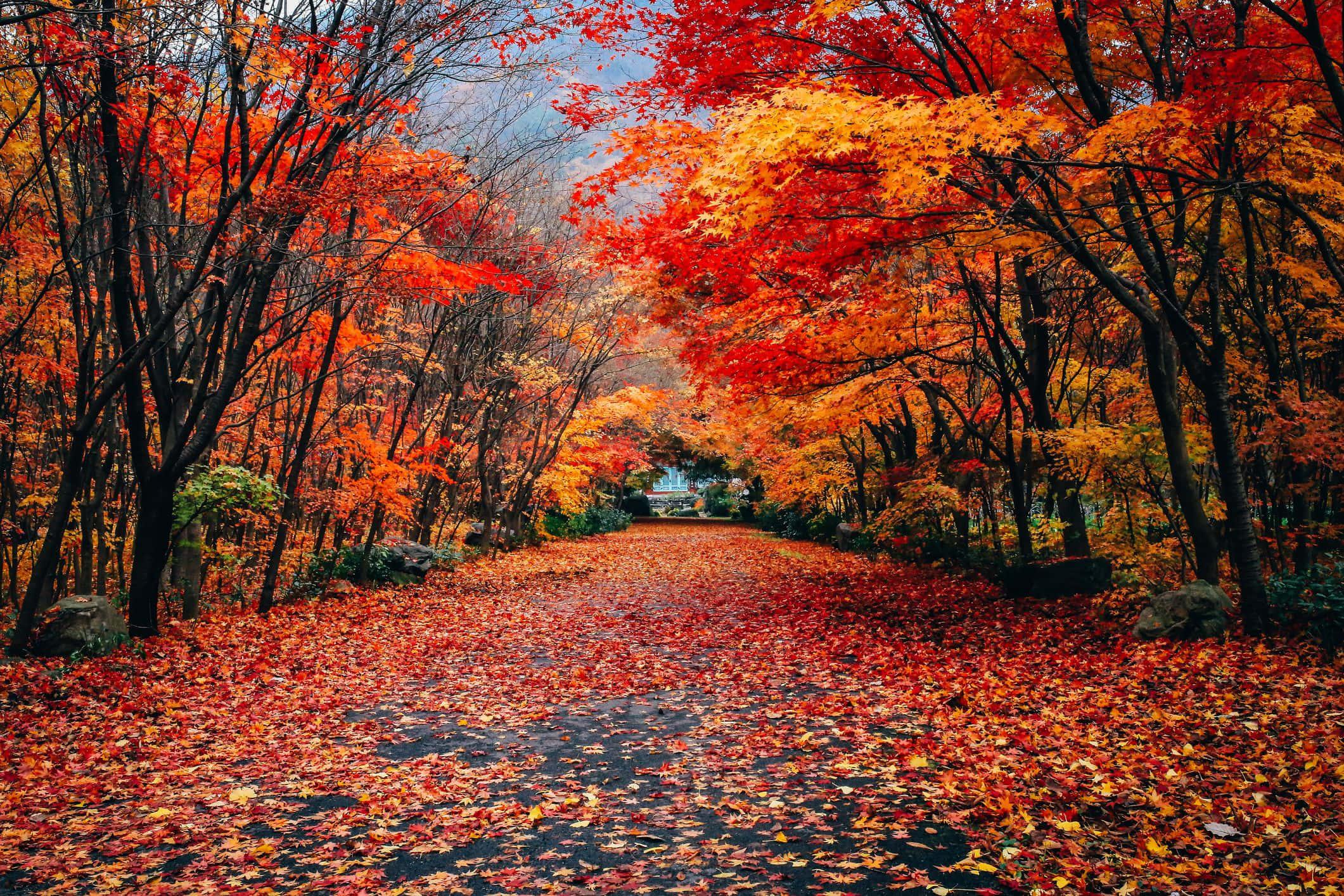 Welcome to Fall — 2121x1414 wallpaper