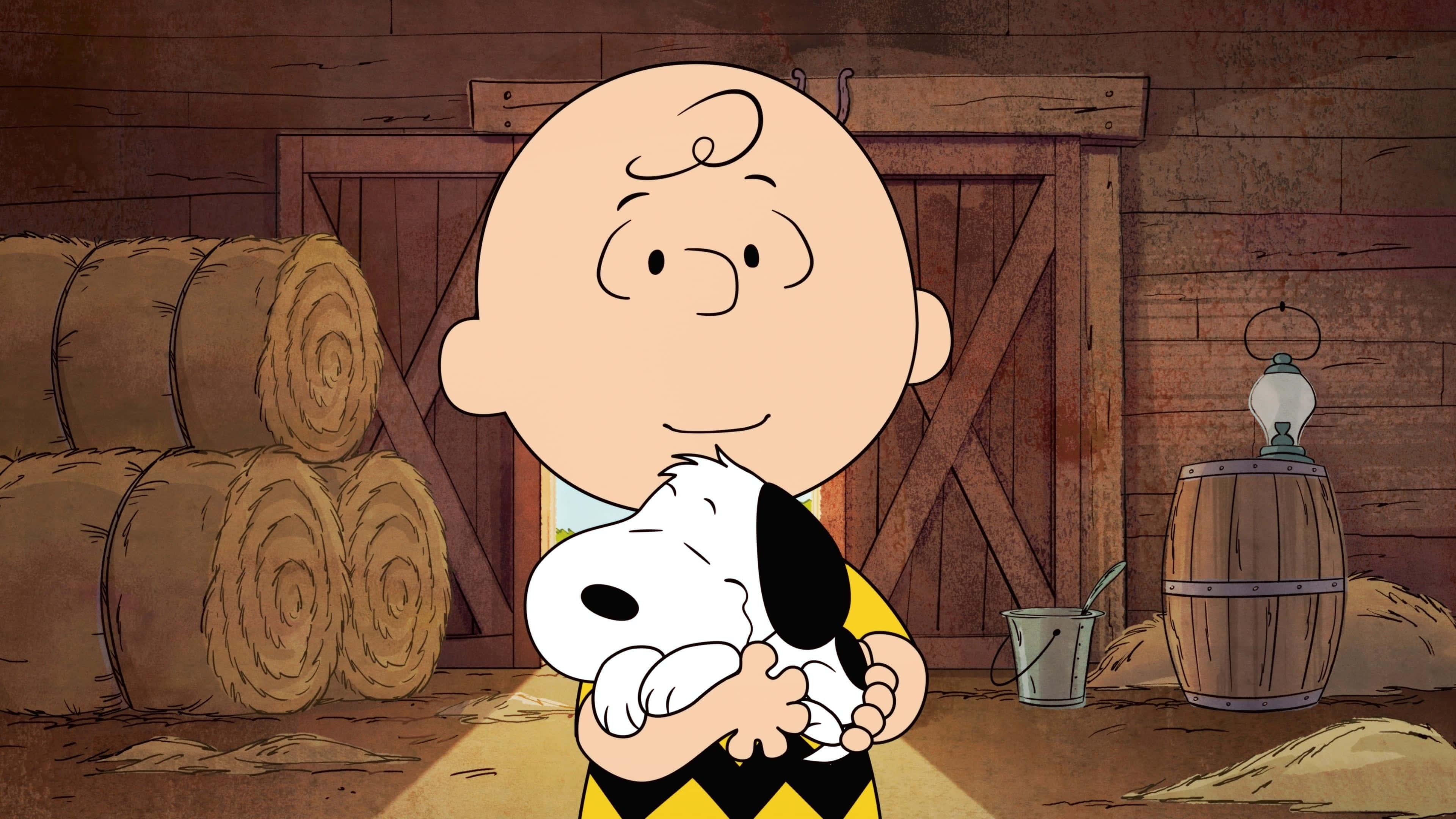 Welcome to the doghouse! — 3840x2160 wallpaper