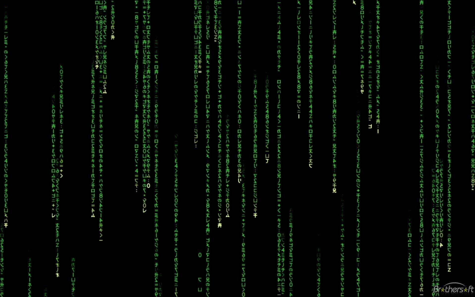 Welcome to the Matrix — 1920x1200 wallpaper