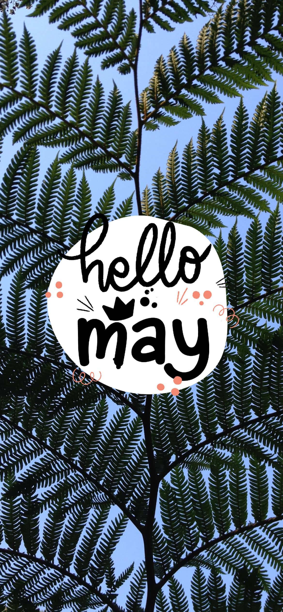 Welcoming May with Open Arms — 1169x2530 wallpaper
