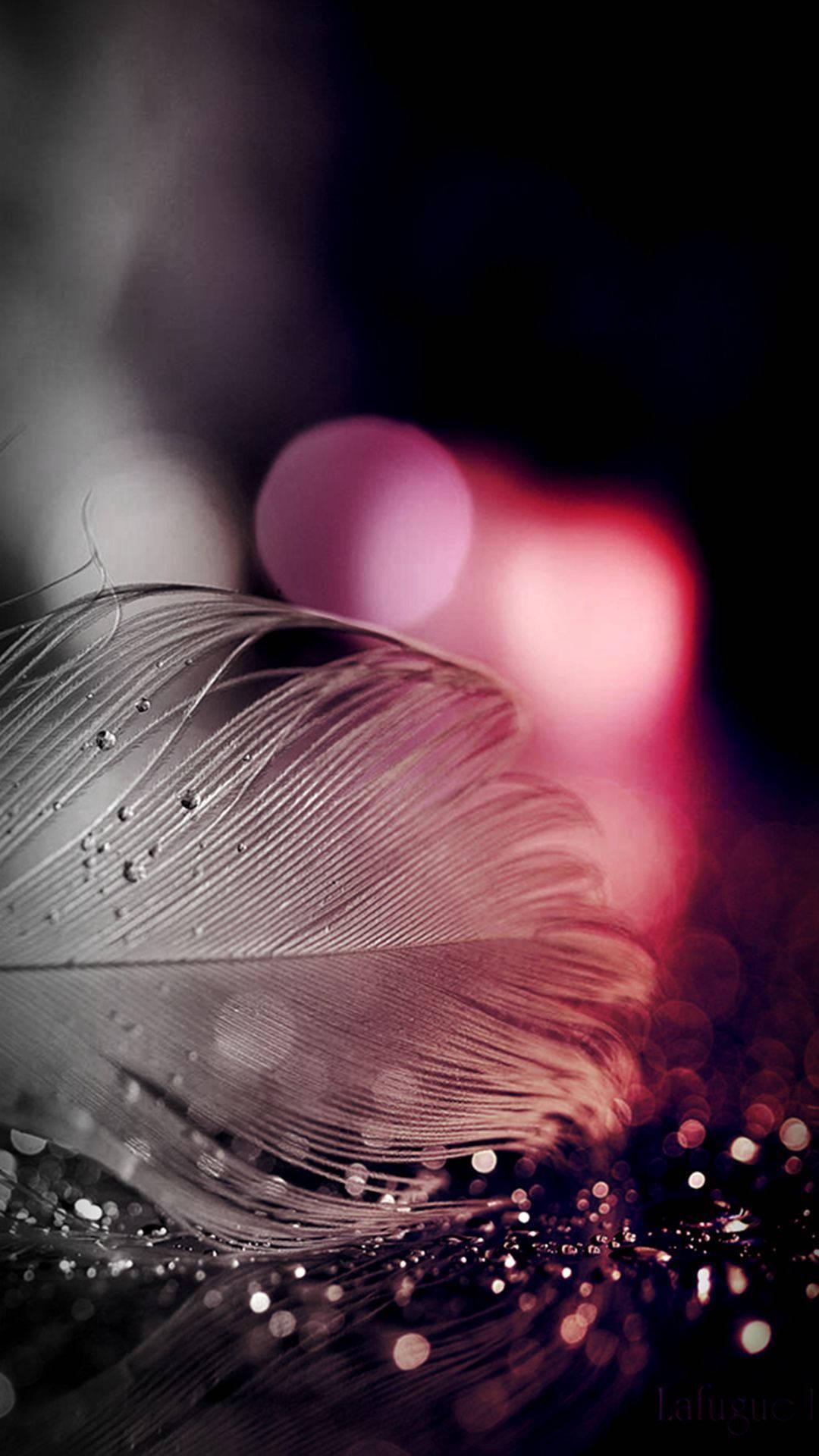 Wet Feather Mobile