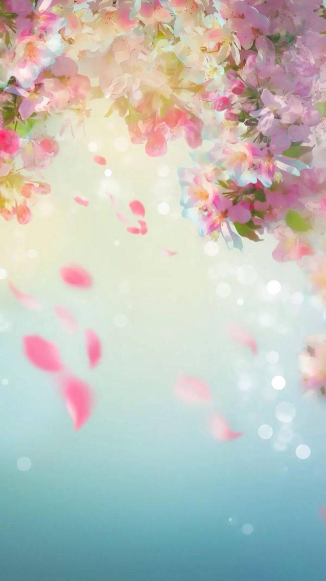 WhatsApp Chat Falling Cherry Blossom Petals — 638x1136 wallpaper
