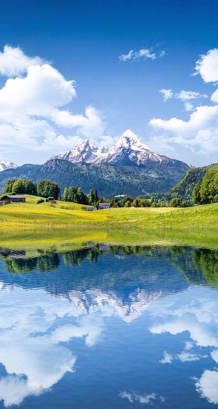 WhatsApp Chat Nature — 744x1392 wallpaper
