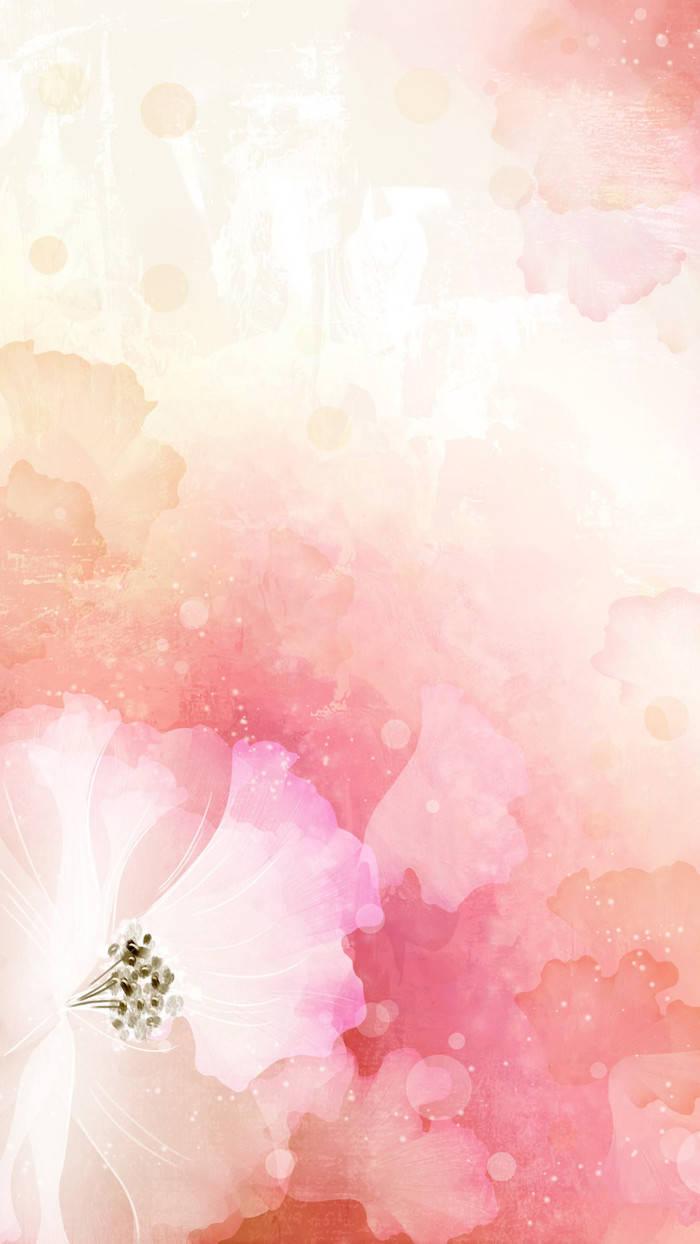 WhatsApp Chat Pink Flower — 700x1244 wallpaper
