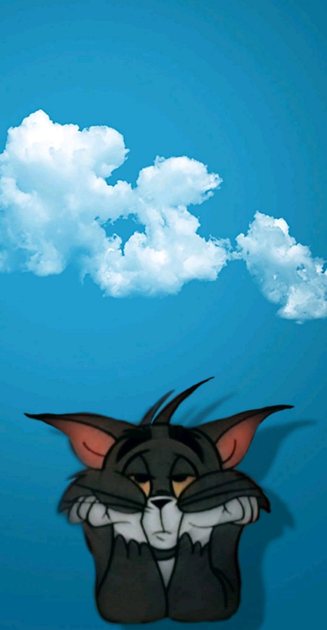 WhatsApp DP Cat Tom — 1080x2076 wallpaper