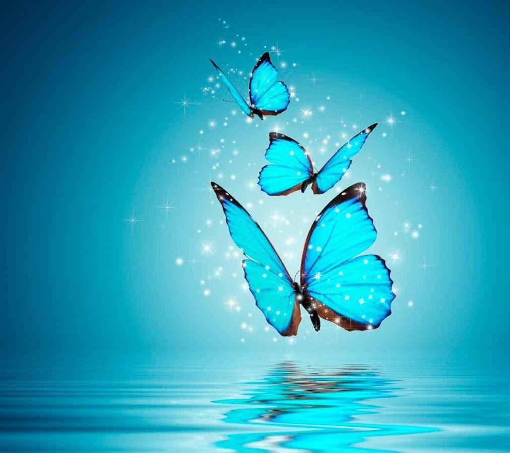 WhatsApp DP Sparkling Butterflies — 1012x900 wallpaper