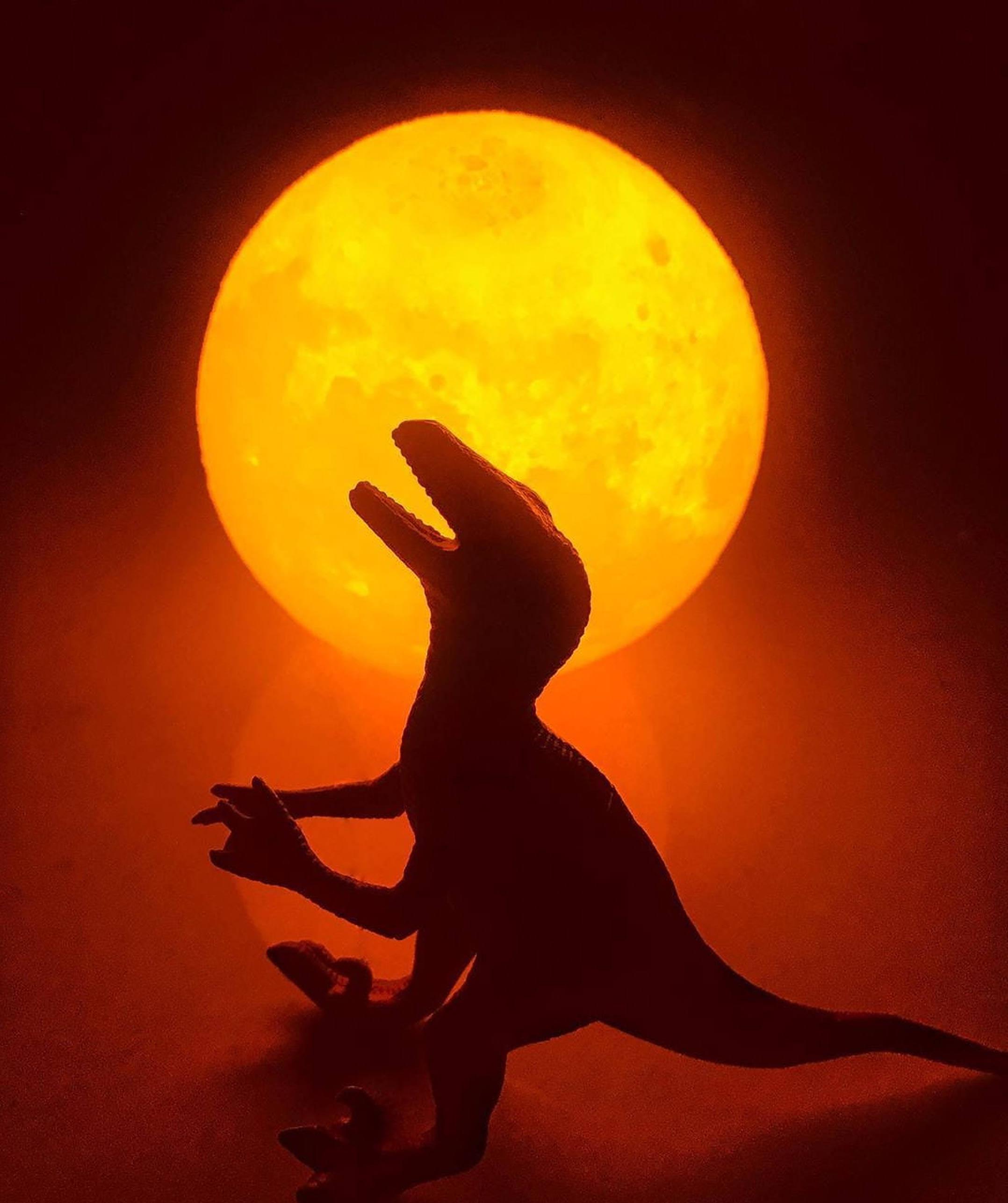 WhatsApp DP Sun Dinosaur — 2156x2572 wallpaper
