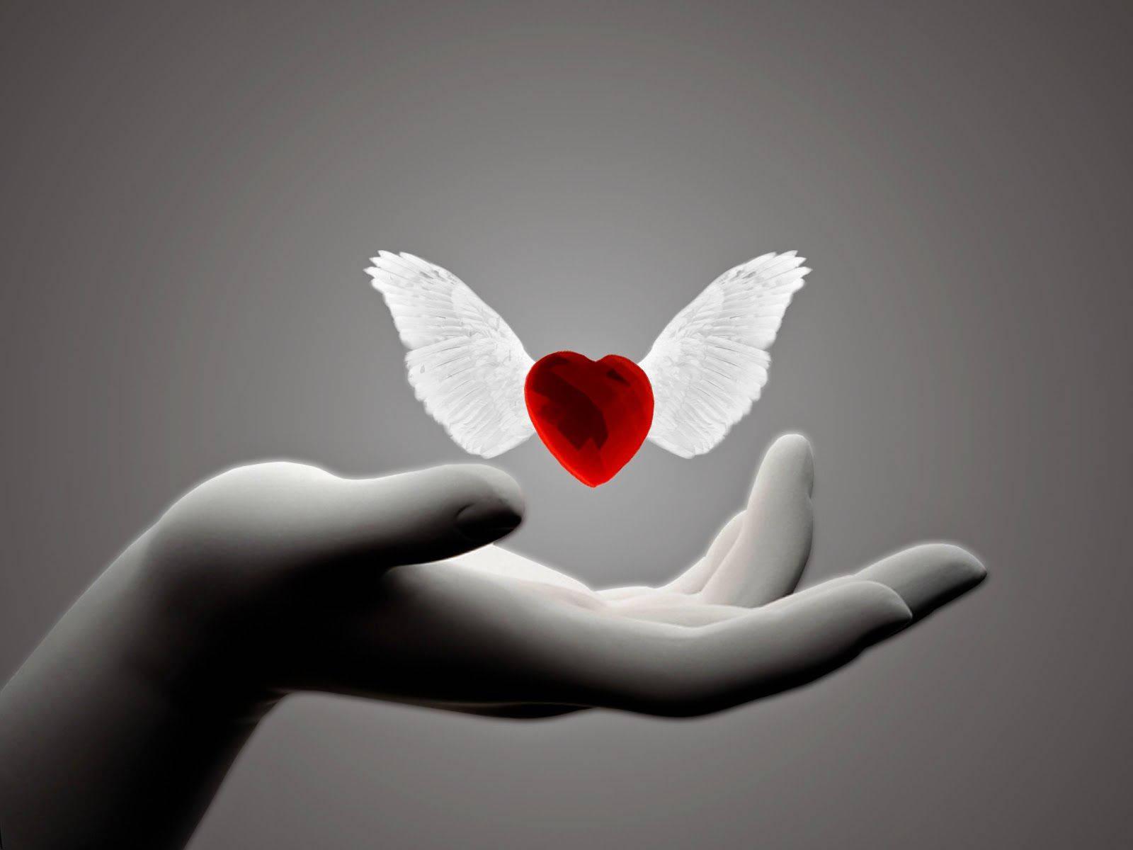 WhatsApp DP Winged-Red Heart — 1600x1200 wallpaper
