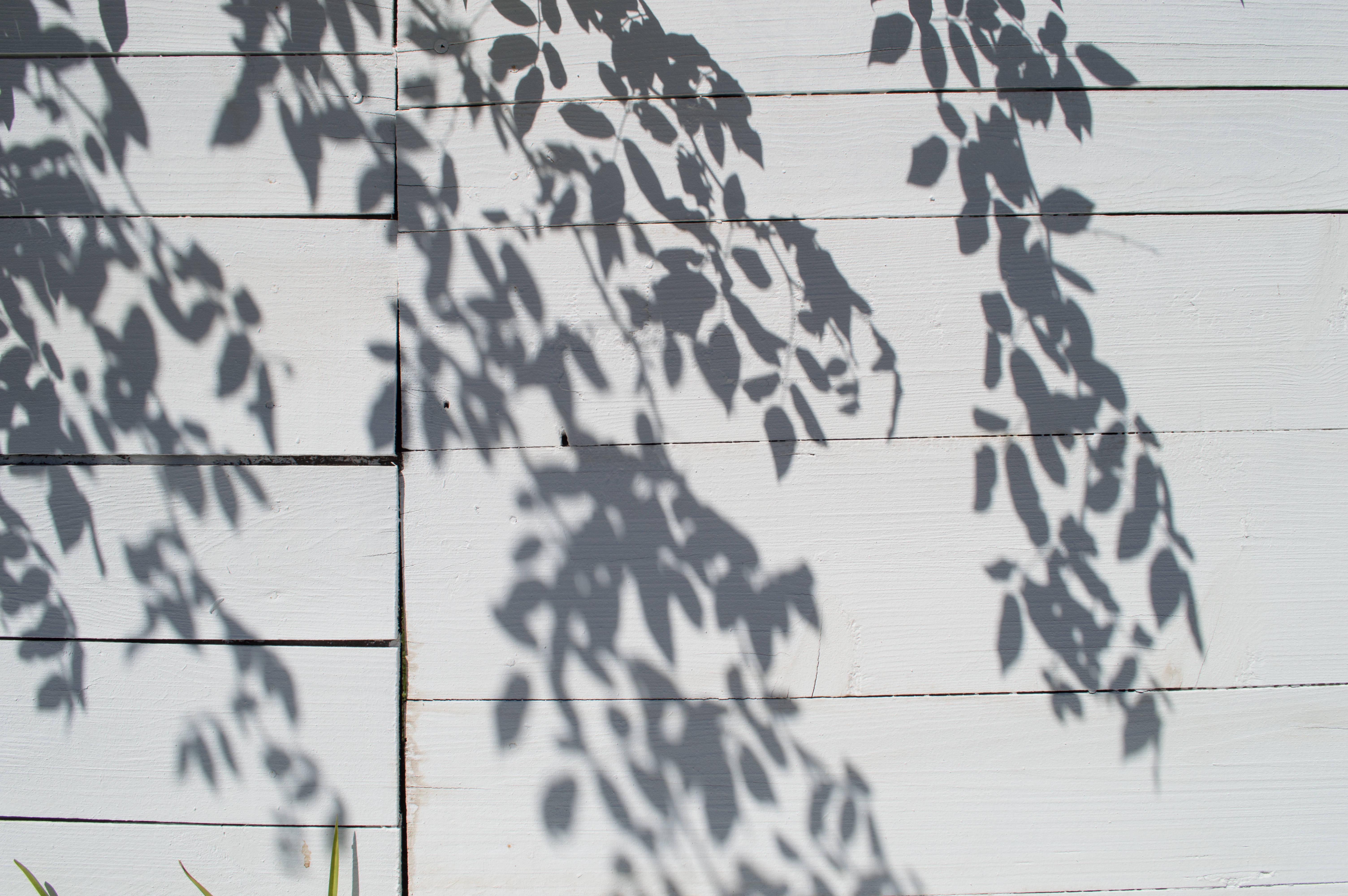 White Aesthetic Wooden Panel — 6016x4000 wallpaper