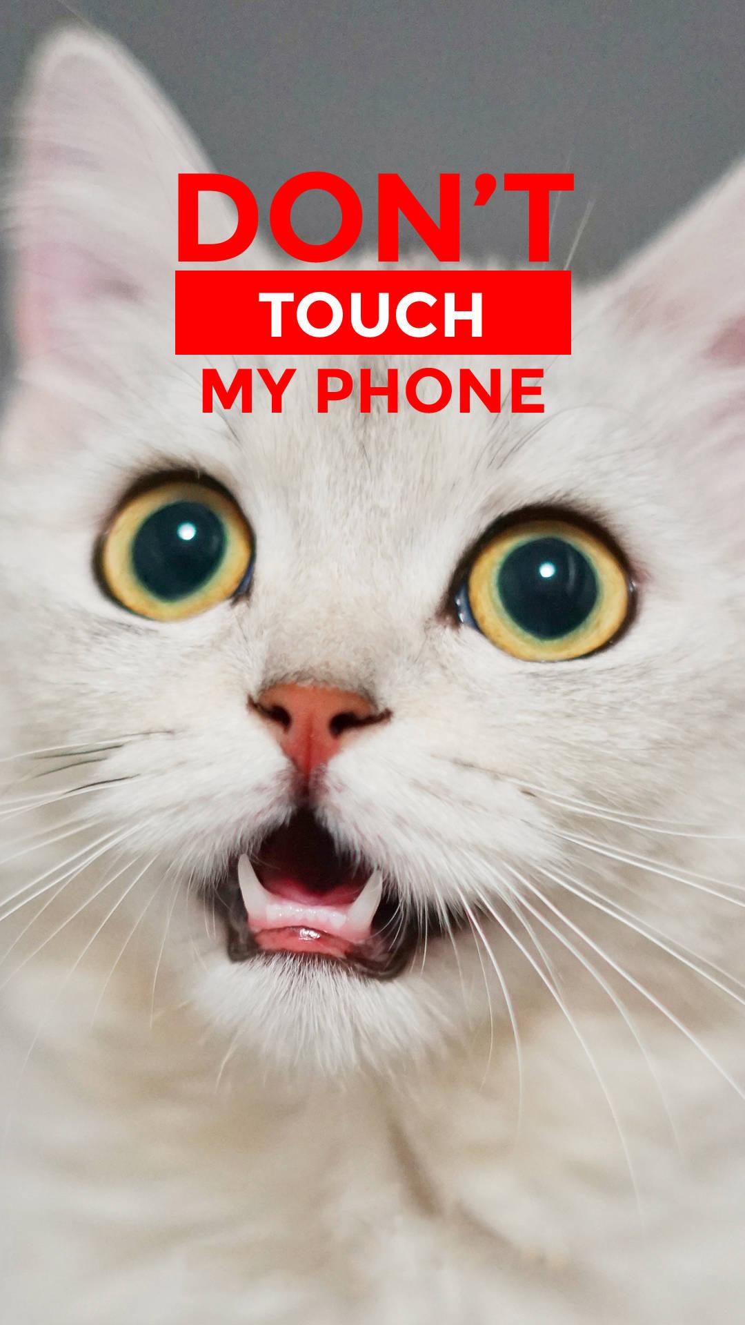 White Cat Don't Touch My Phone Wallpaper — 1080x1920 wallpaper