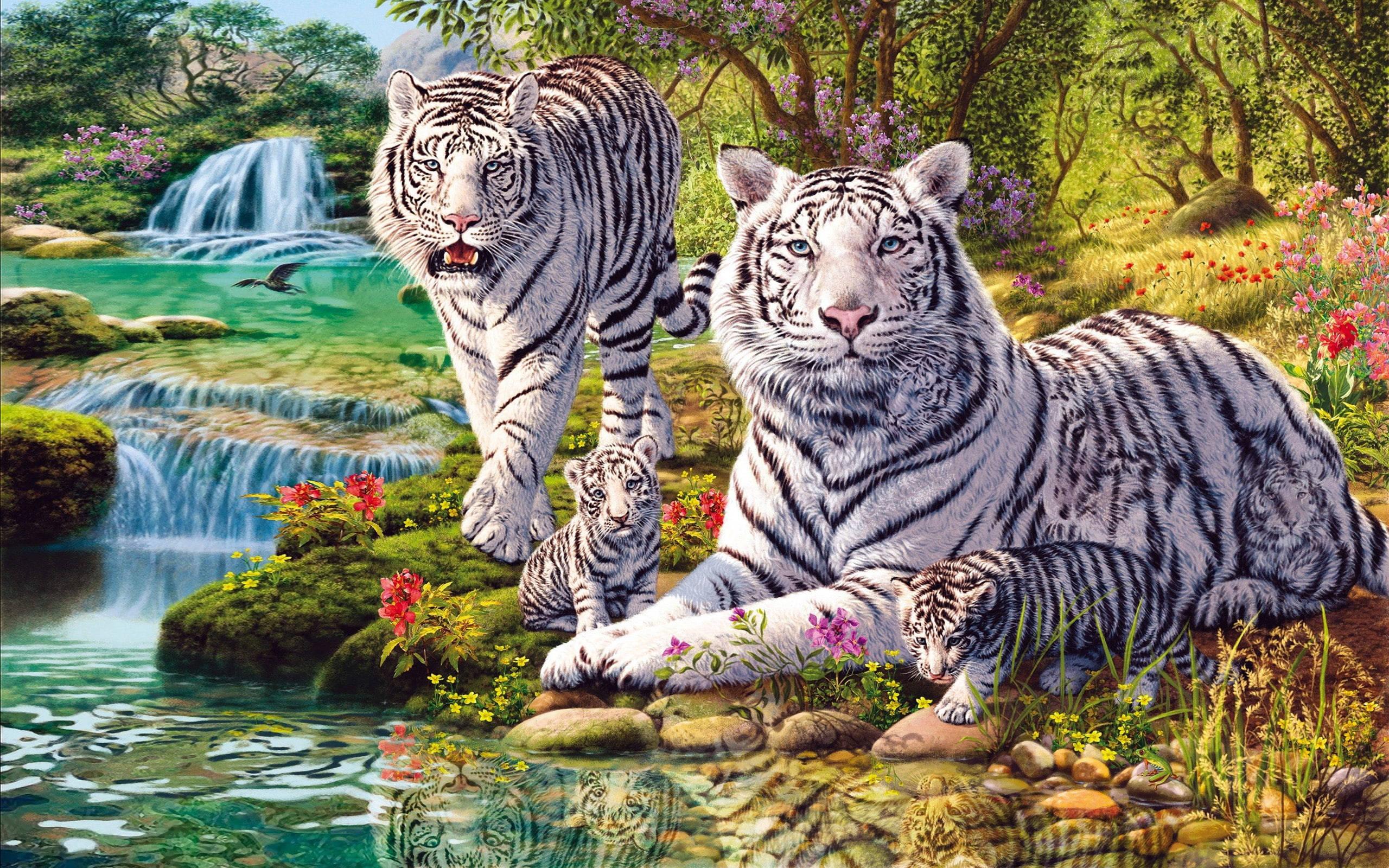 White Tiger Family — 2560x1600 wallpaper