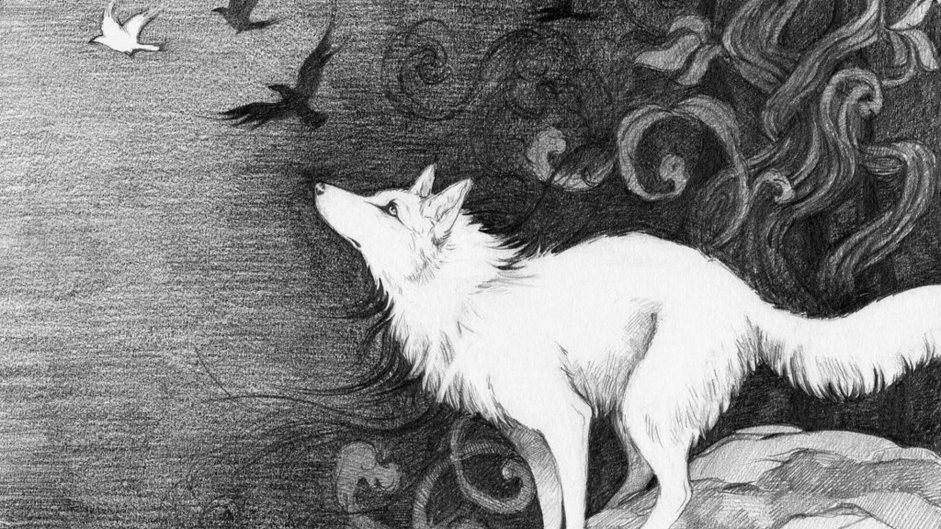 White Wolf Prowling Through the Forest — 1920x1080 wallpaper