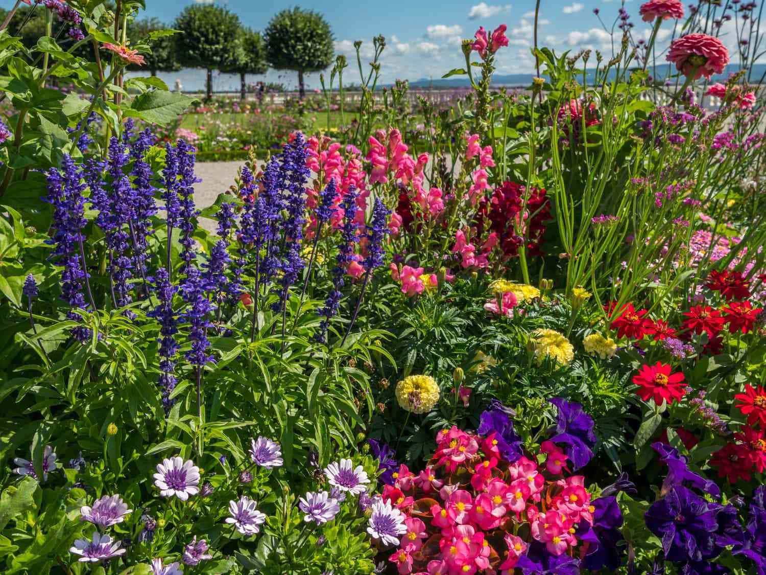 Wildflower Garden Picture — 1500x1125 wallpaper