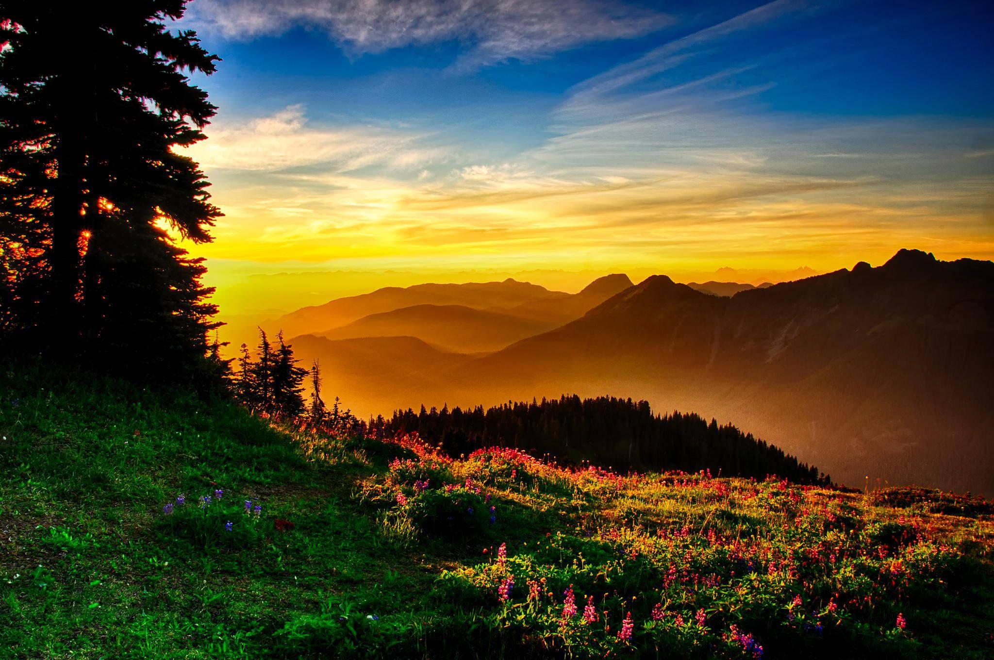 Windows 10 HD Meadow Sunrise — 2048x1360 wallpaper