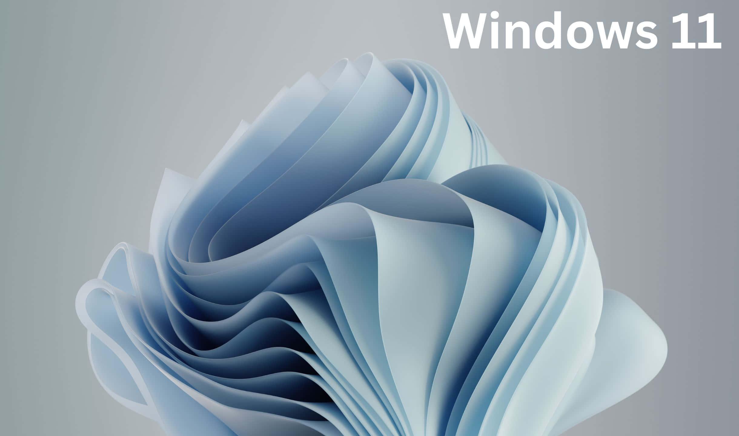 windows 10 - microsoft windows 10 - microsoft windows 10 - microsoft windows 10 - microsoft windows 10 - microsoft windows 10 — 2440x1440 wallpaper