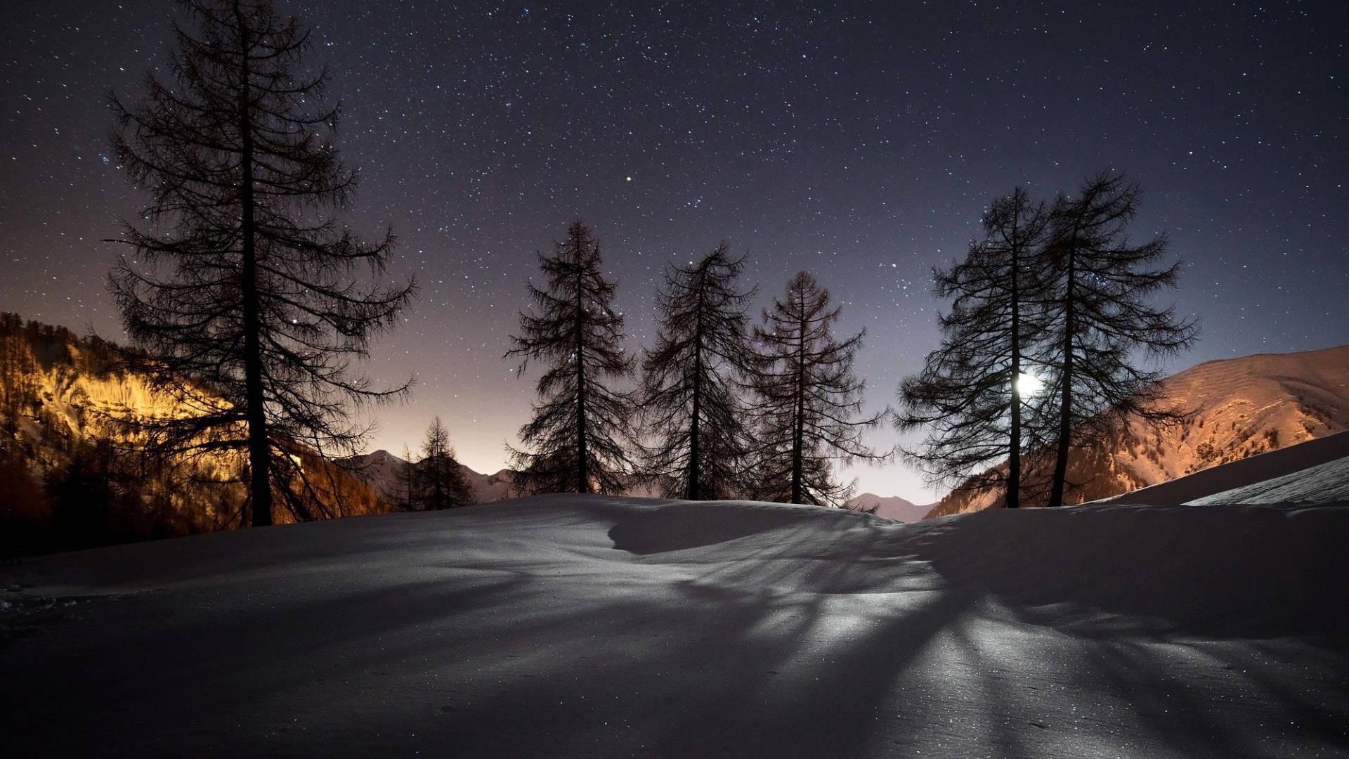 Windows 11 4K Tree Shadows — 1920x1080 wallpaper