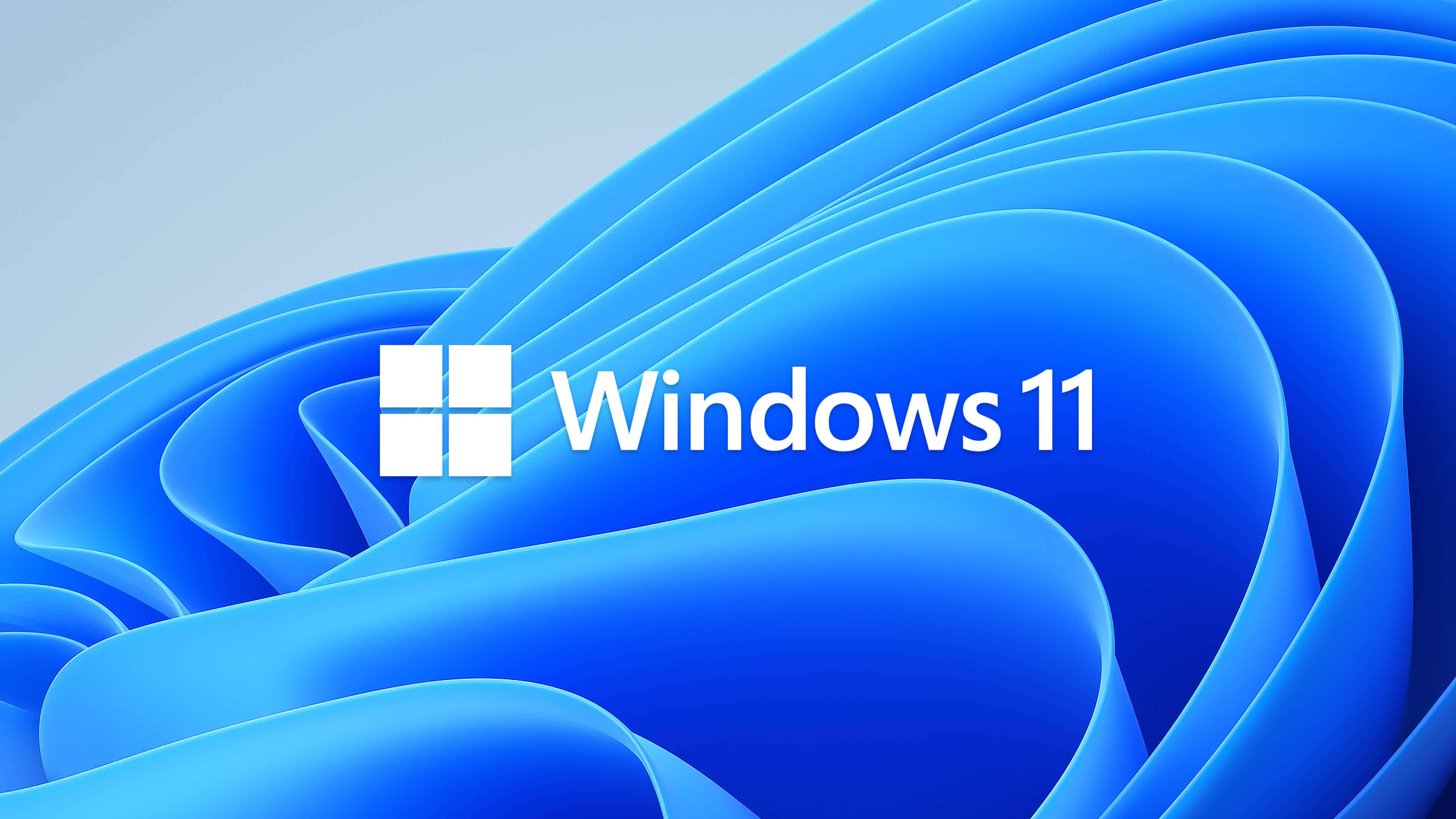 Windows 11 Blue Flower Pattern — 3840x2160 wallpaper