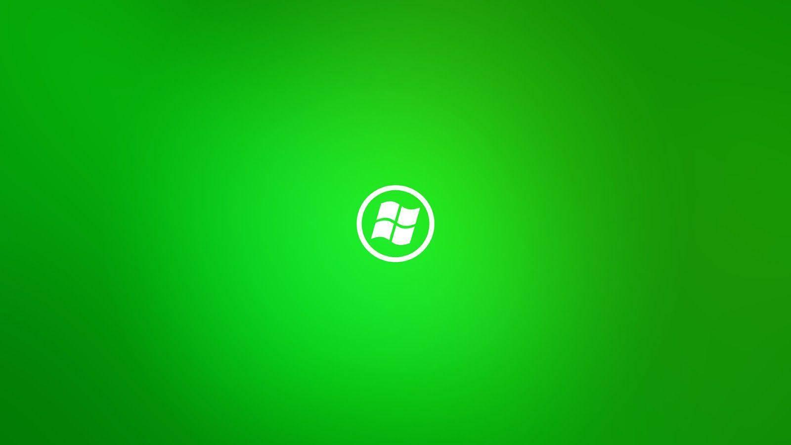 Windows 11 Plain Green — 1600x900 wallpaper