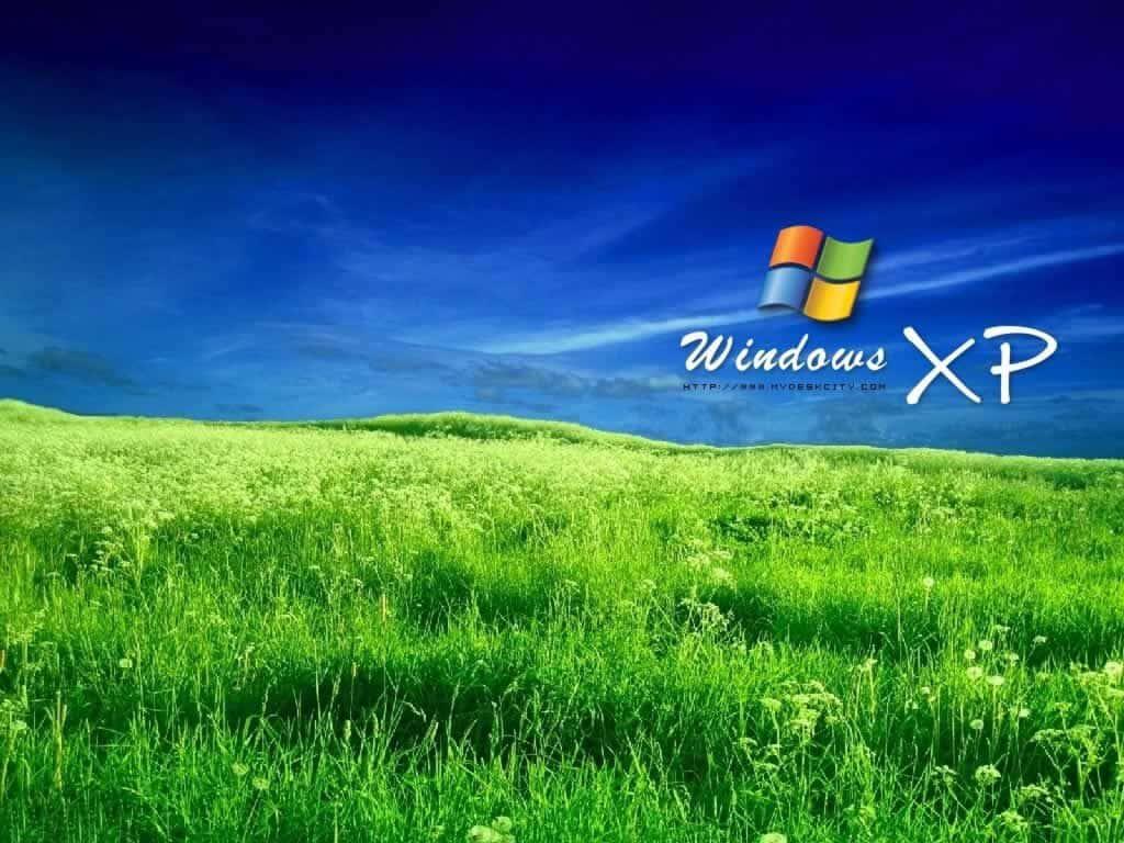 Windows XP wallpaper — 1024x768 wallpaper