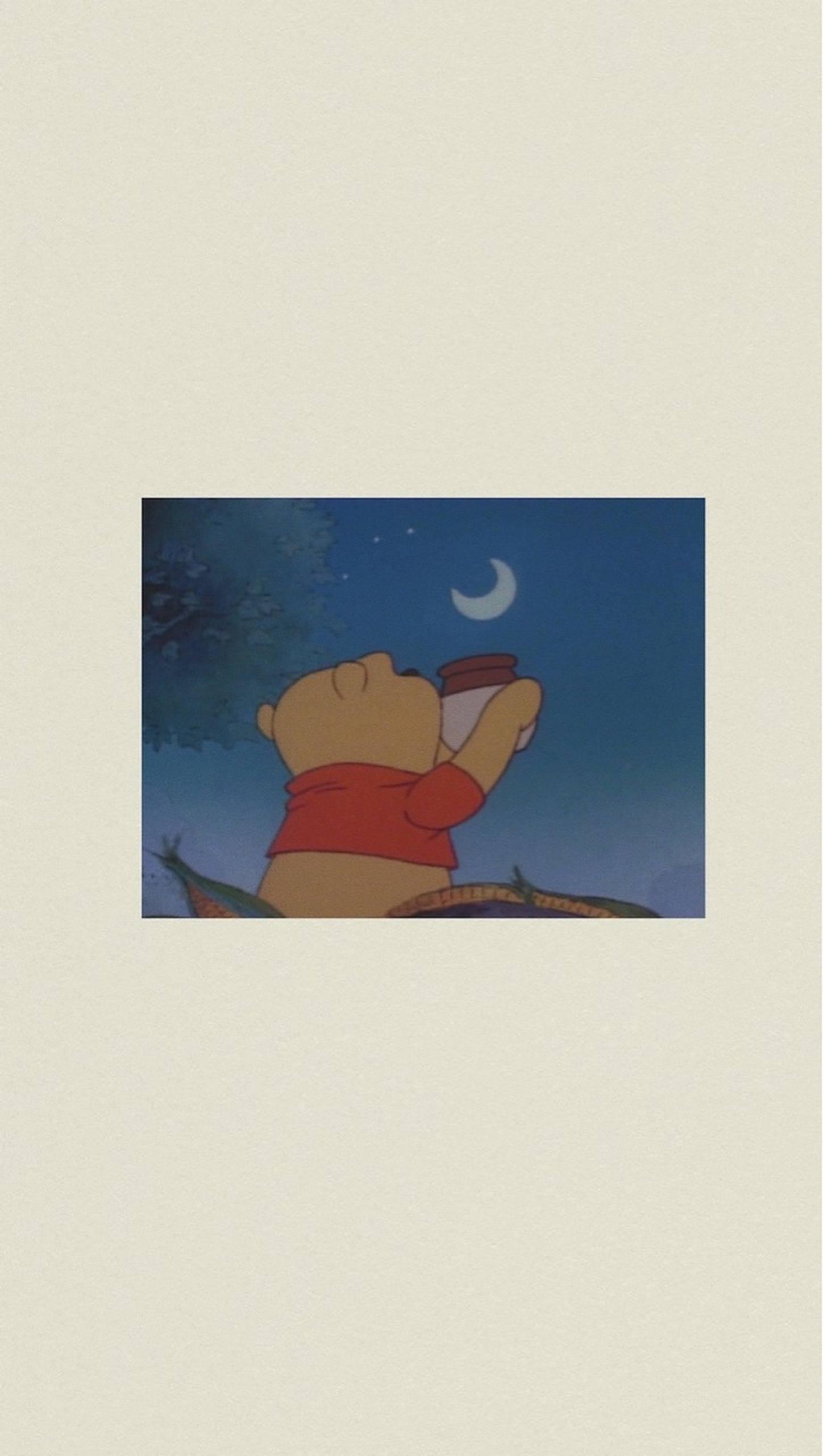 Winnie The Pooh At Night — 1448x2560 wallpaper