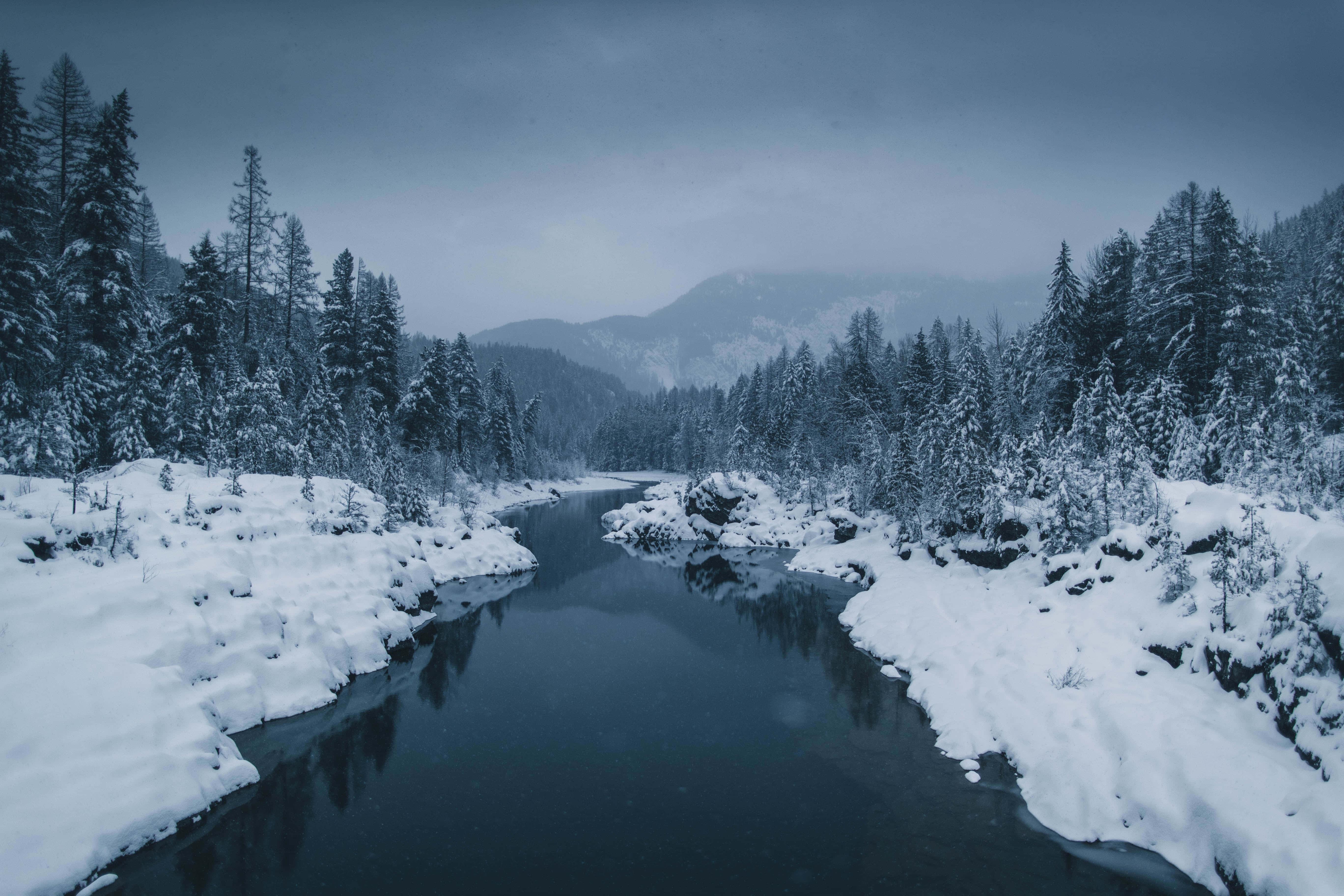 Winter Background — 5472x3648 wallpaper