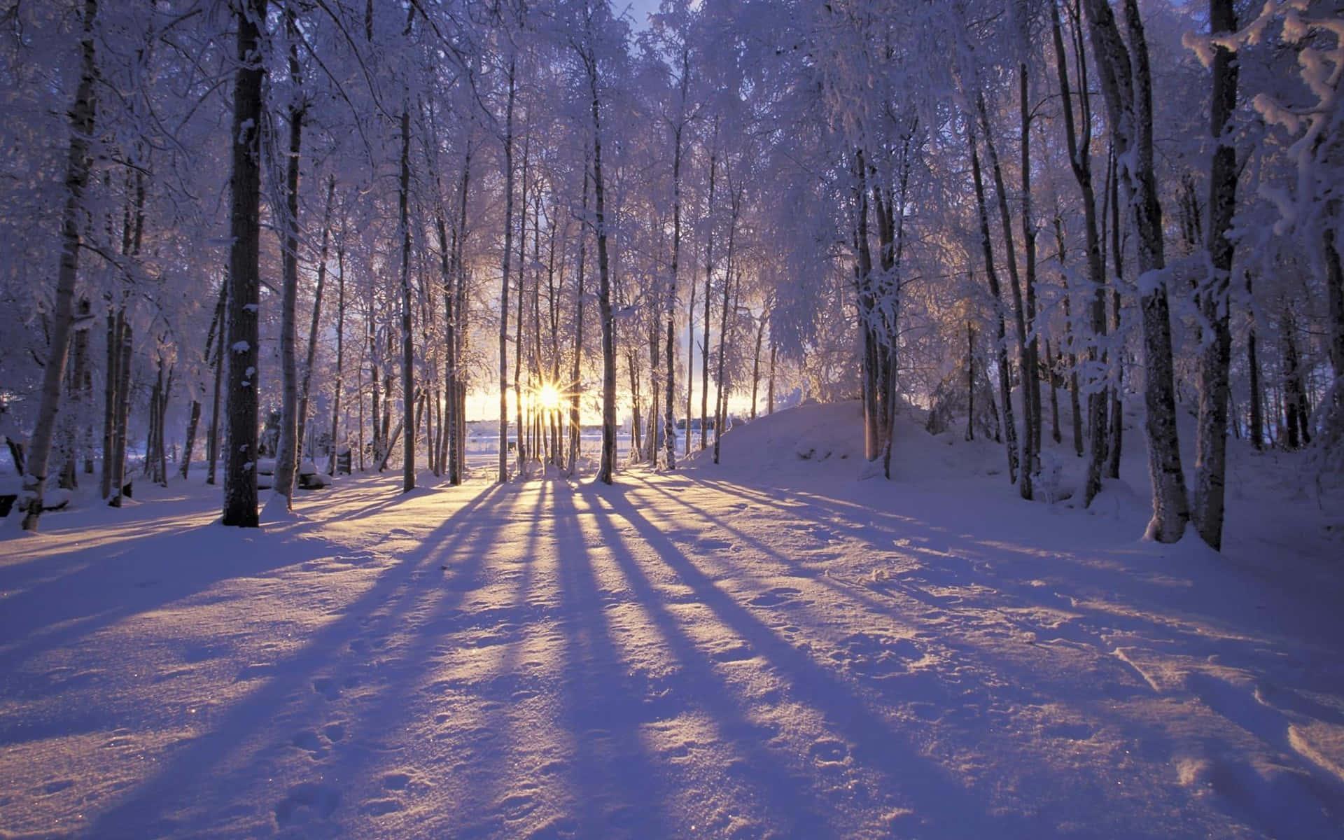 Winter Background — 1920x1200 wallpaper