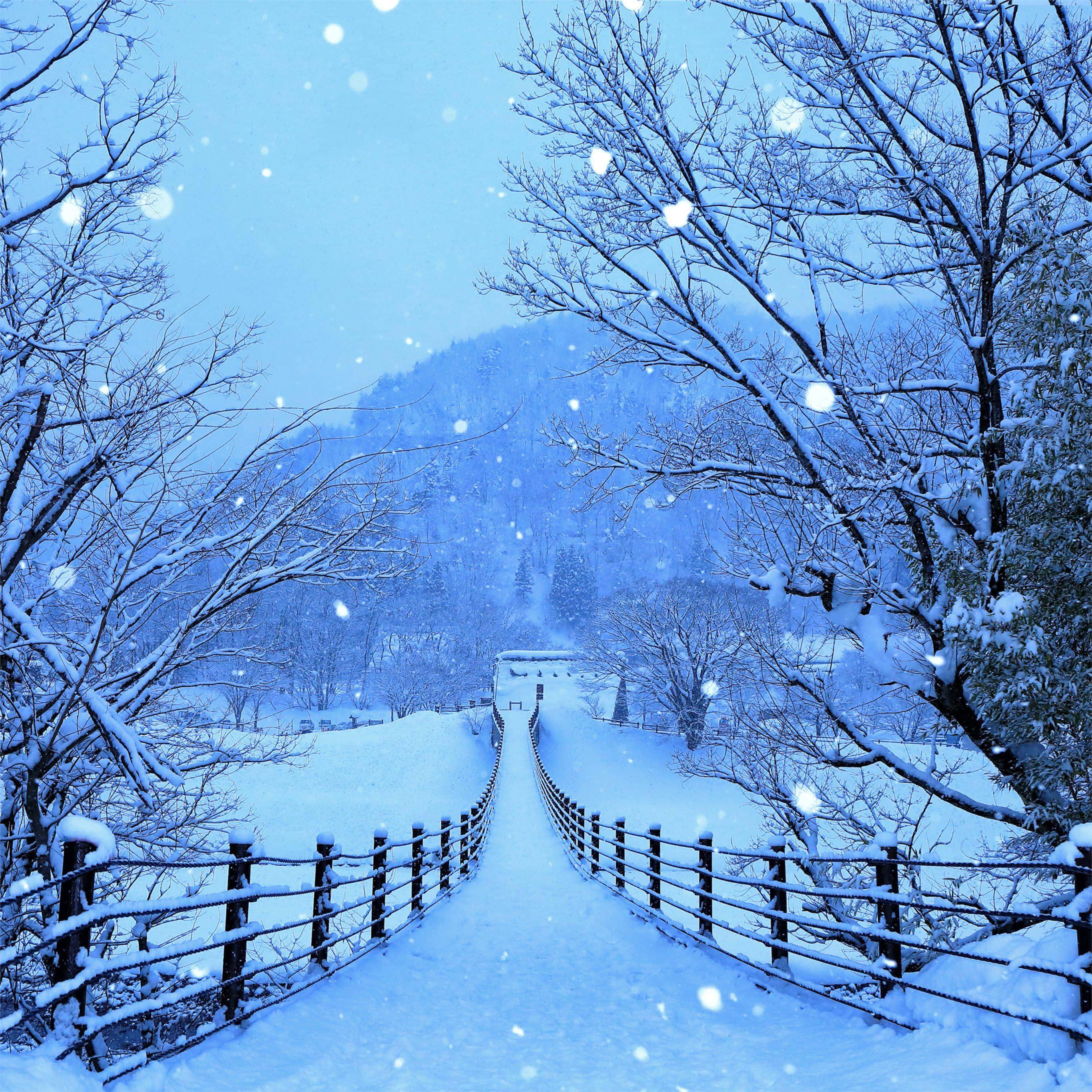 Winter Background — 2732x2732 wallpaper